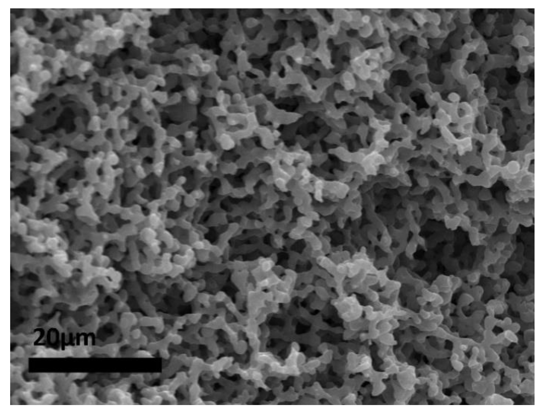 Polymers 14 01338 g004
