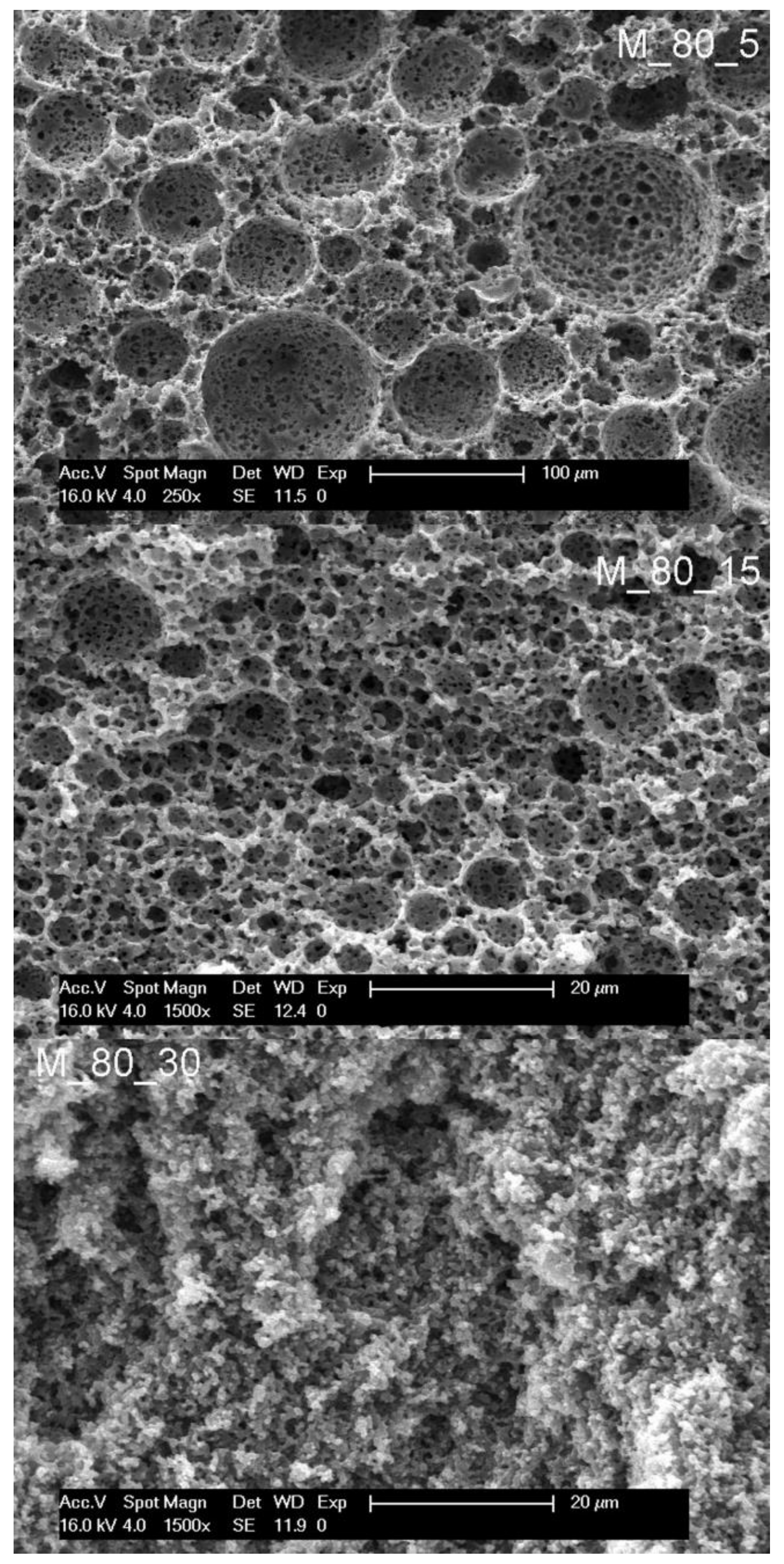 Polymers 14 01338 g006