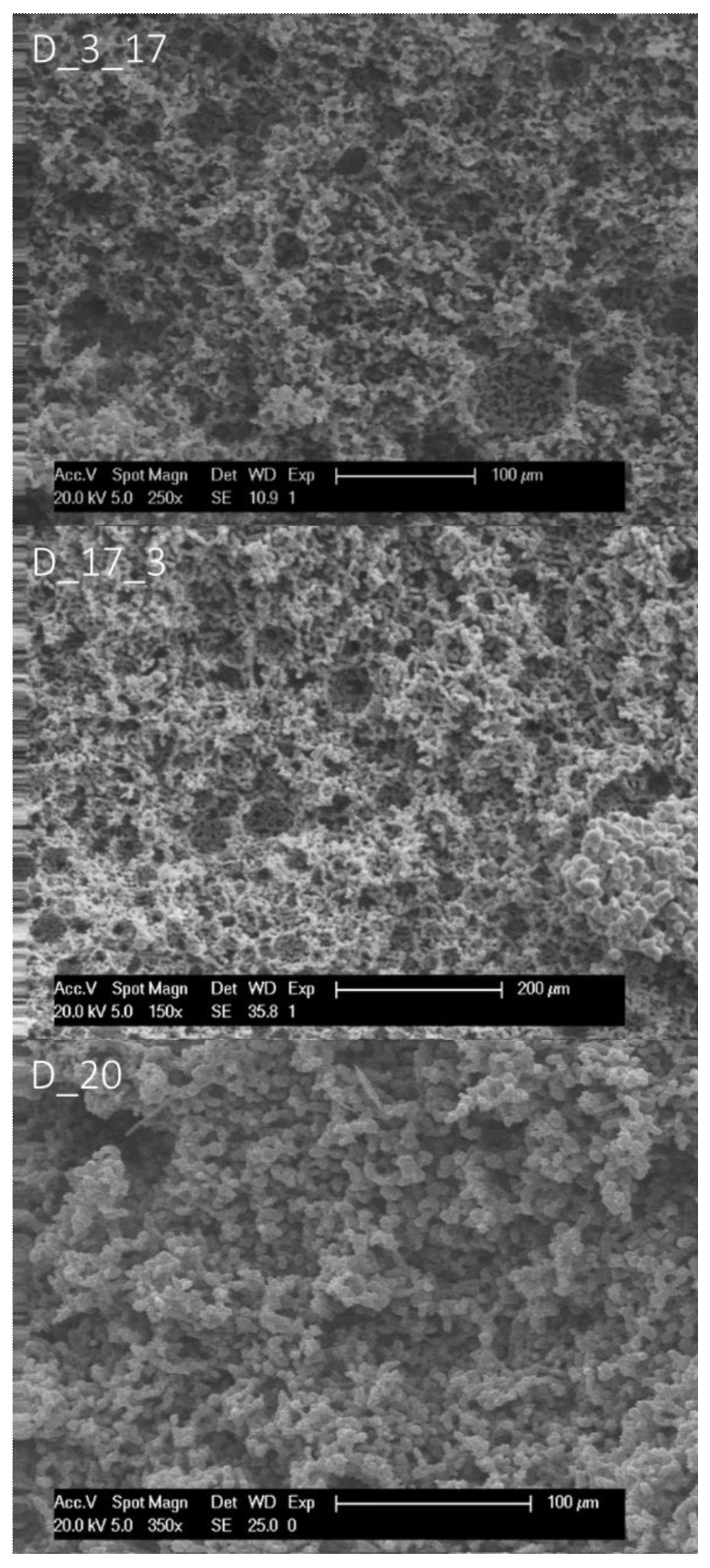 Polymers 14 01338 g008