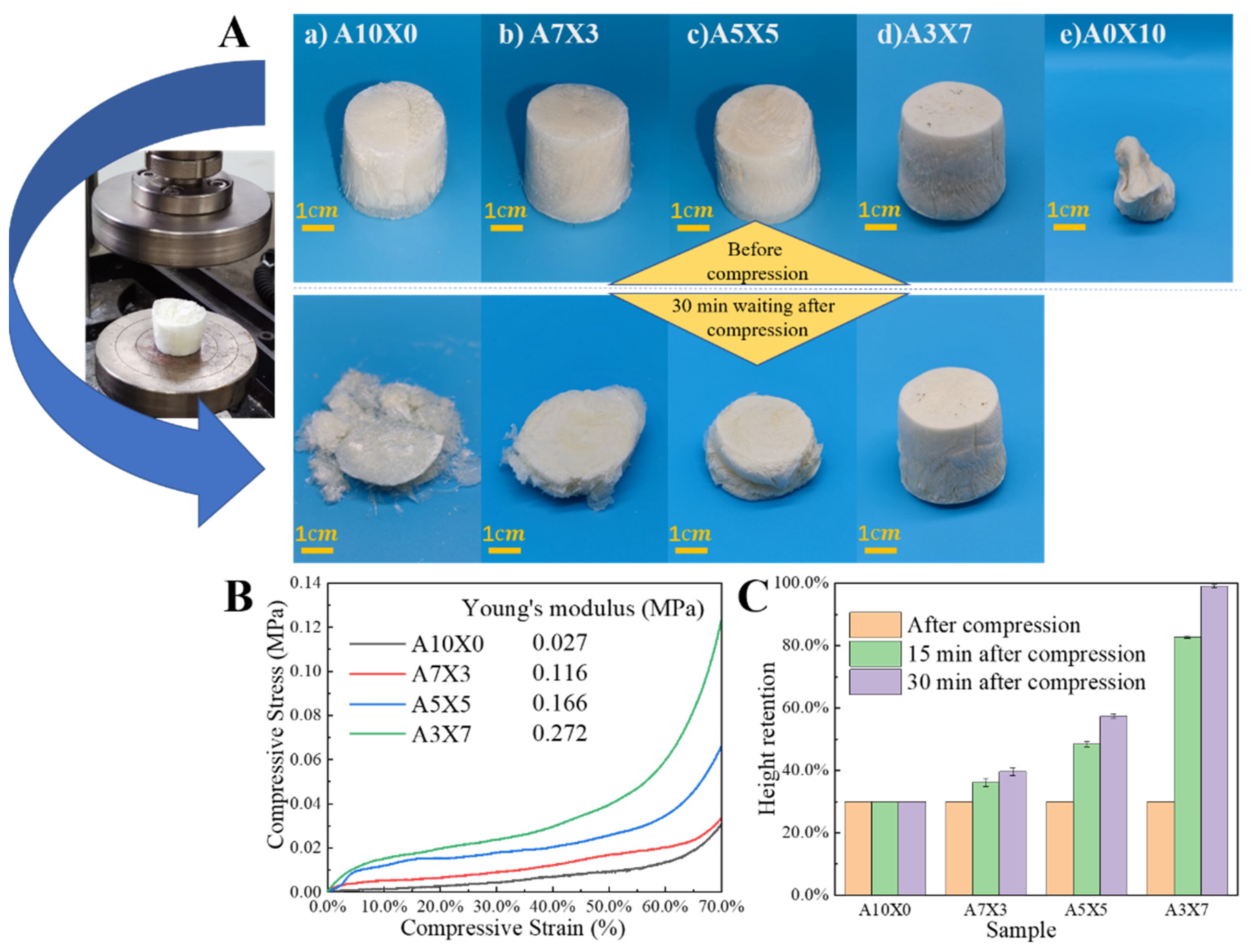 Polymers 14 01344 g003