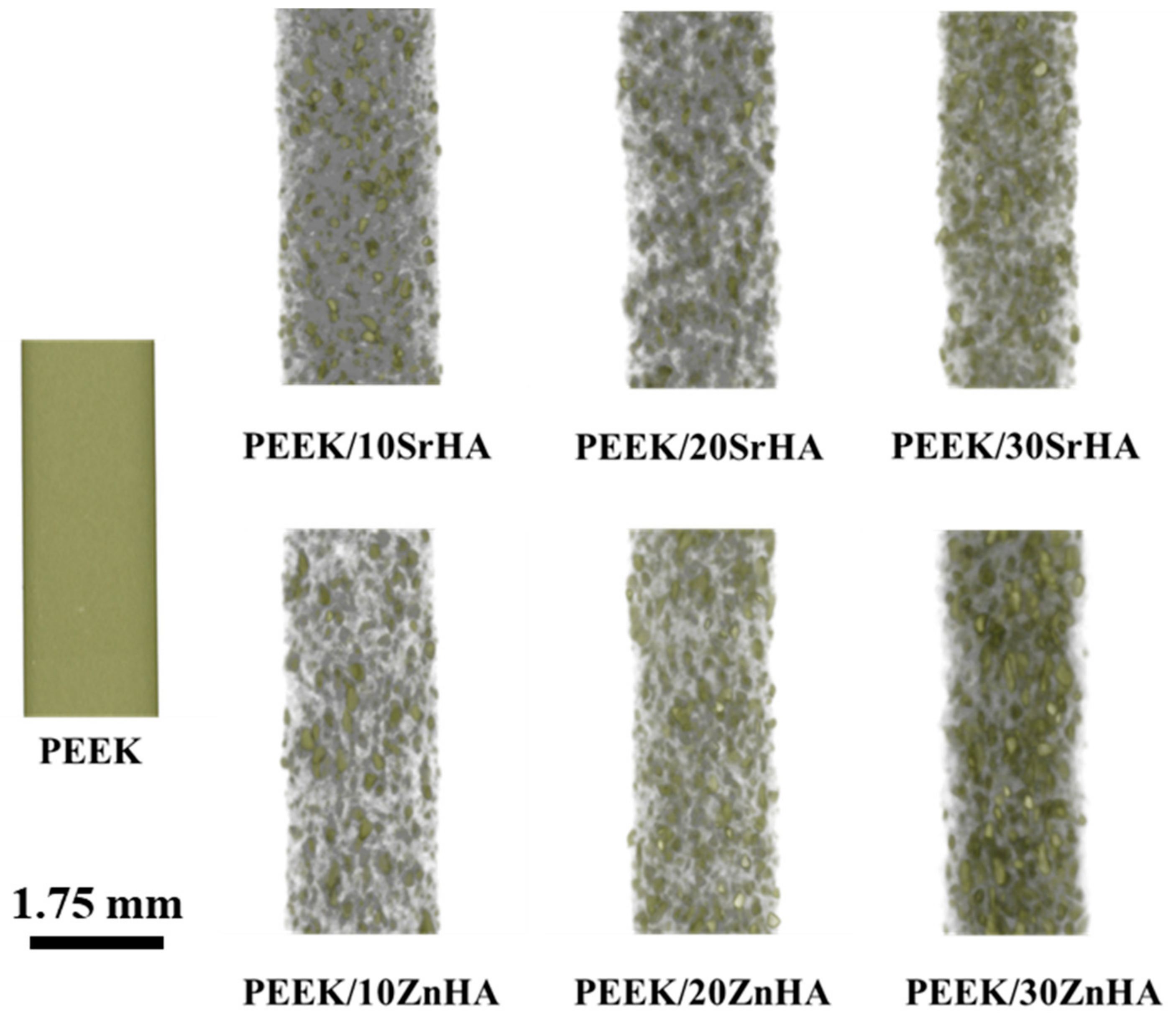 Polymers 14 01376 g002