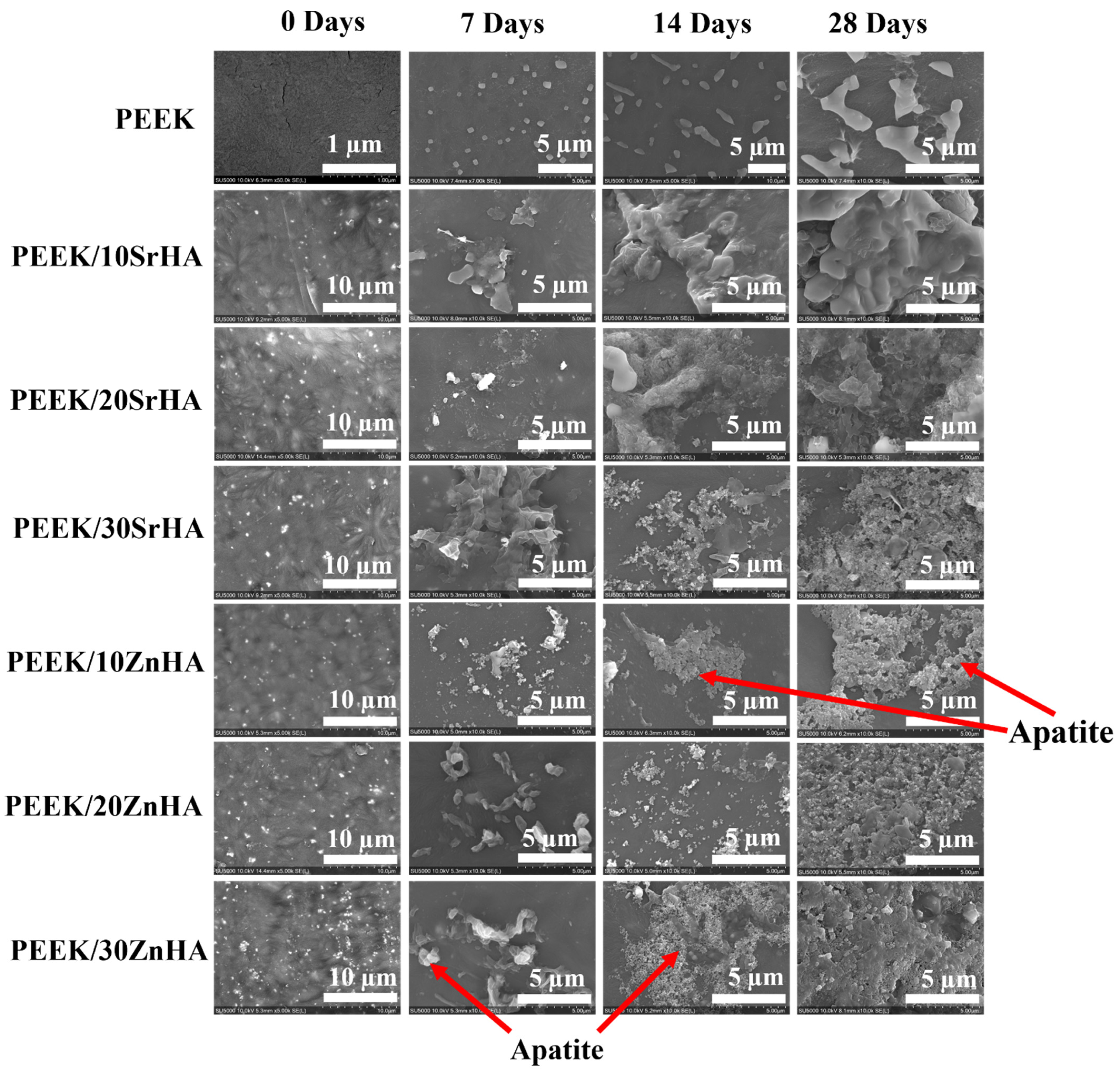 Polymers 14 01376 g008