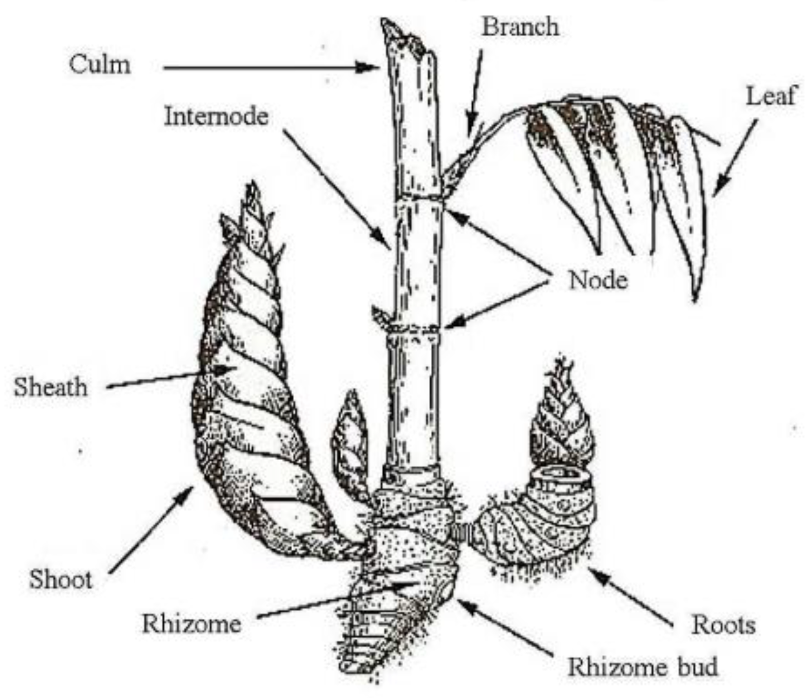 Polymers 14 01387 g002 Polymers 14 01387 g002