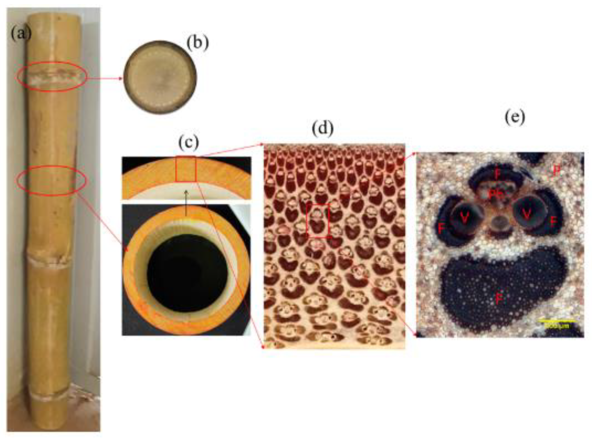 Polymers 14 01387 g003 Polymers 14 01387 g003