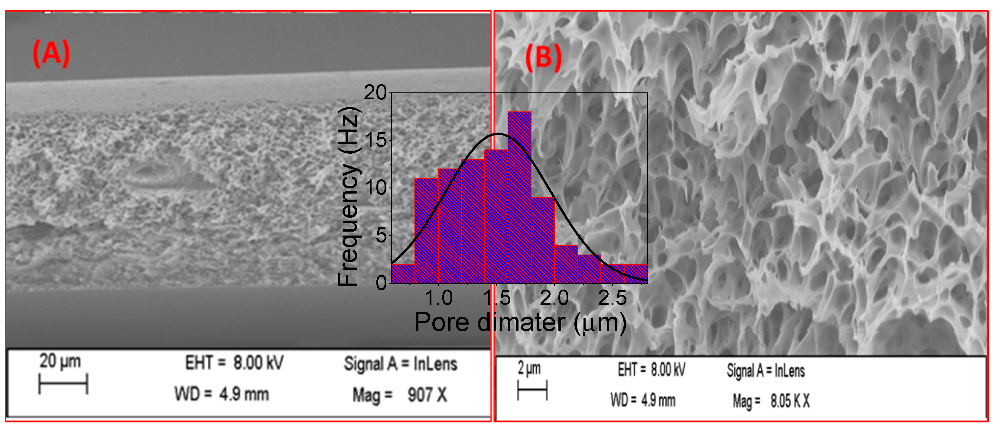 Polymers 14 01390 g002 Polymers 14 01390 g002