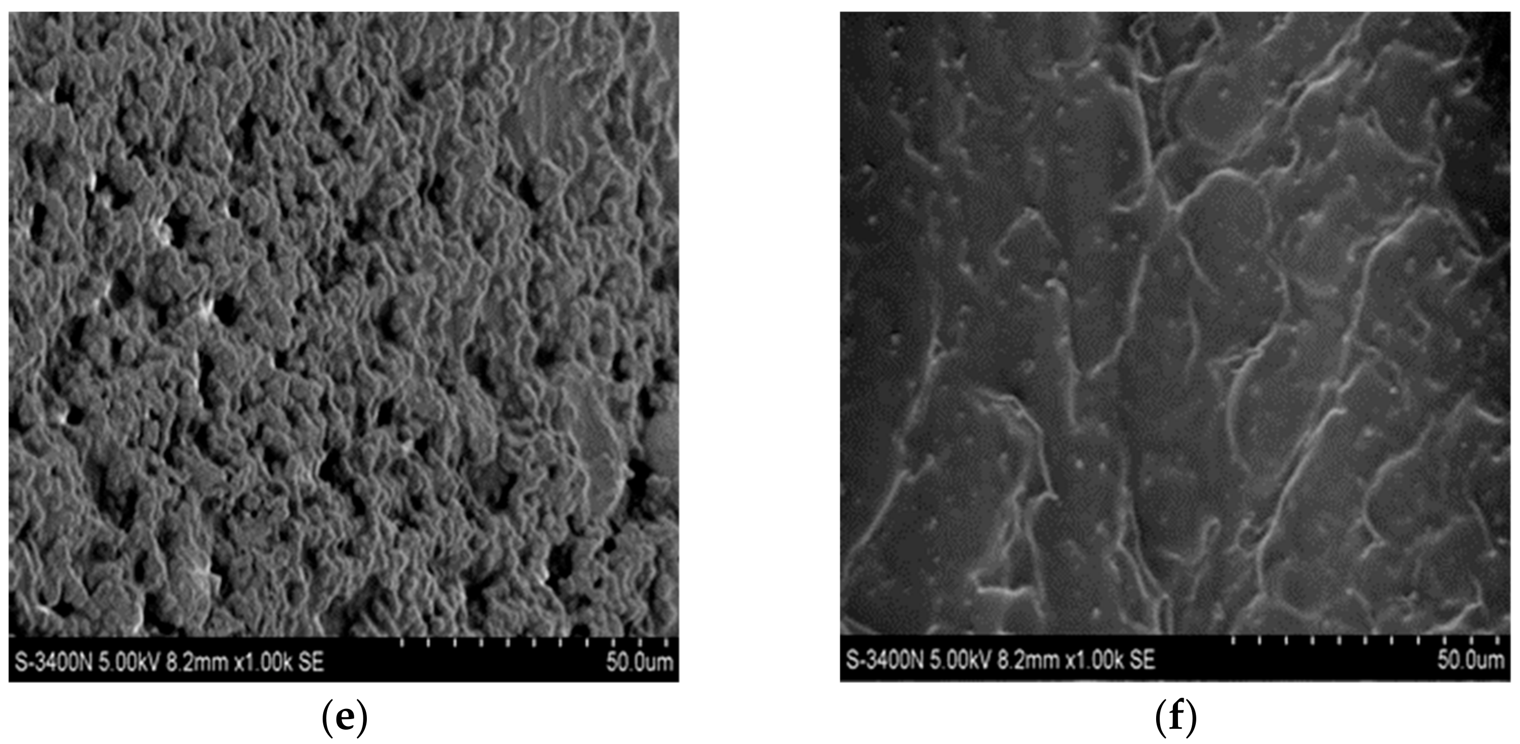 Polymers 14 01404 g007b