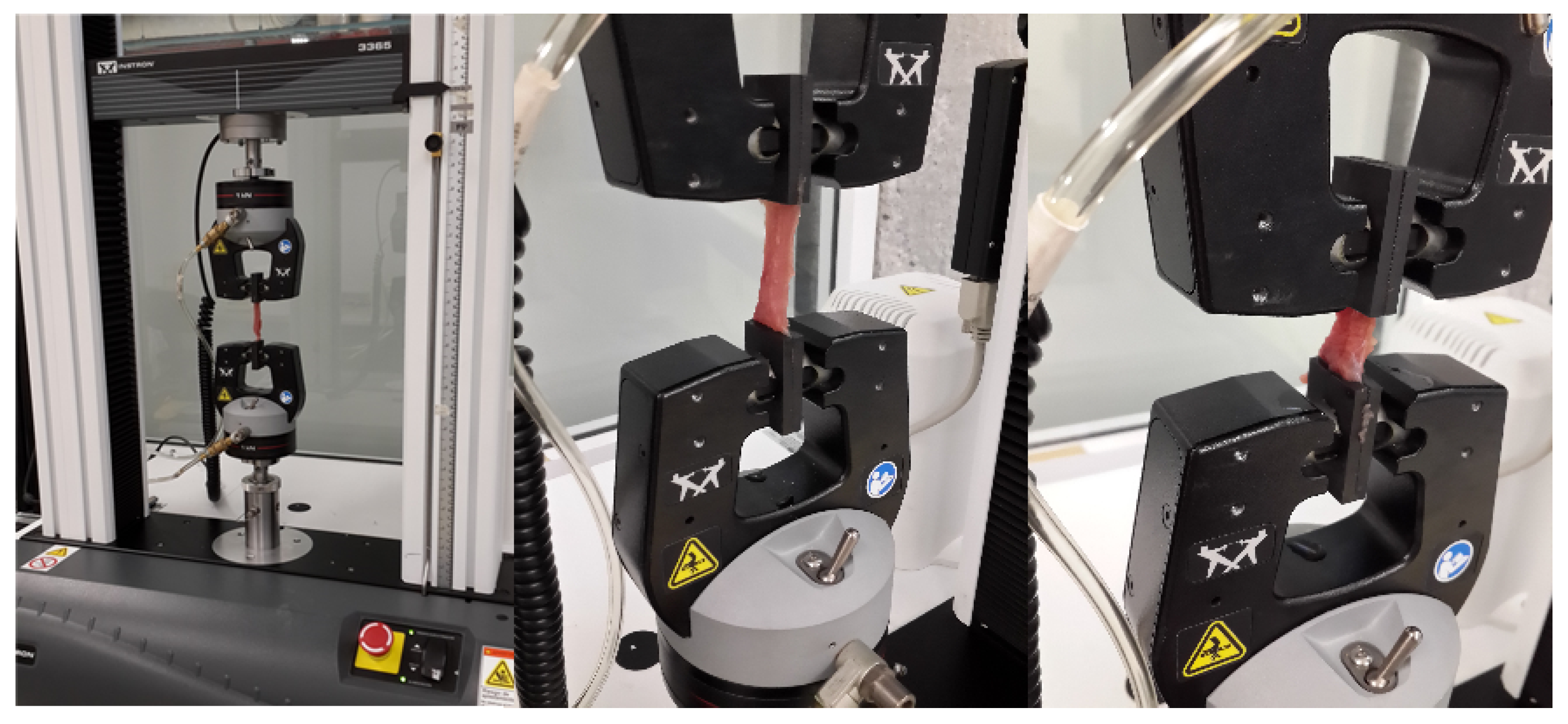 Polymers 14 01407 g006