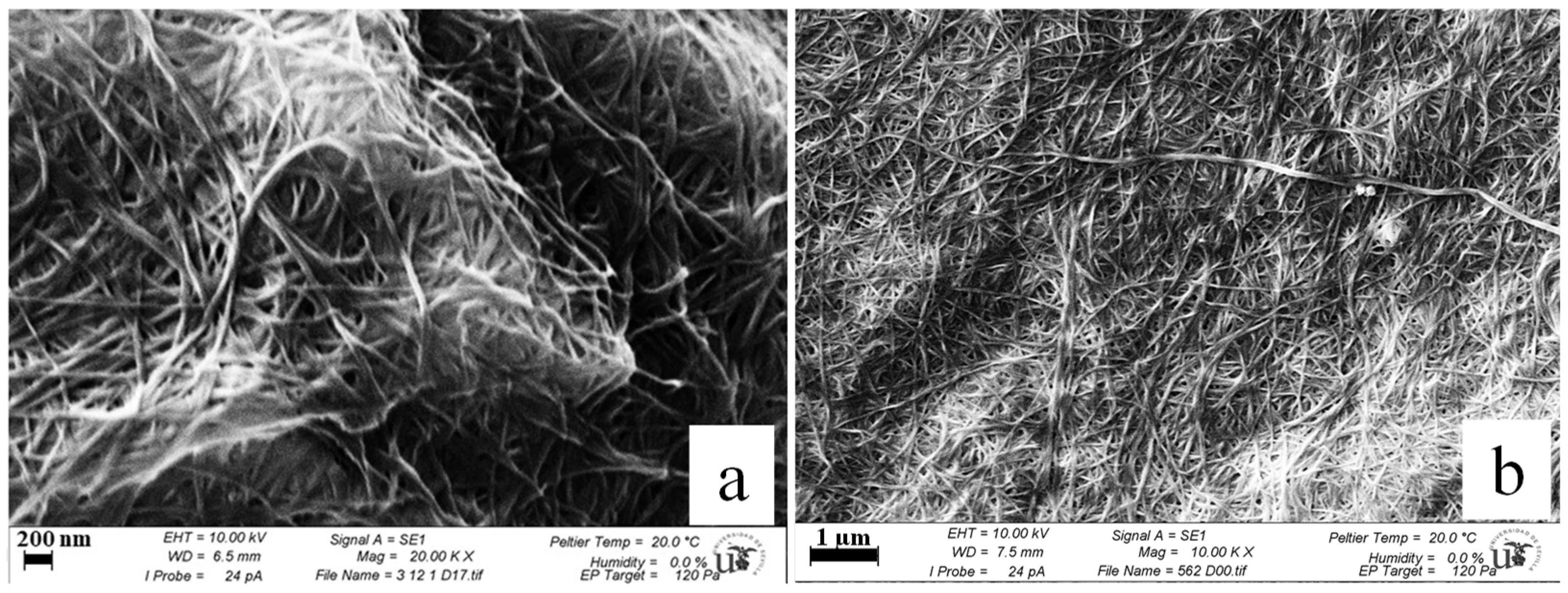 Polymers 14 01435 g005