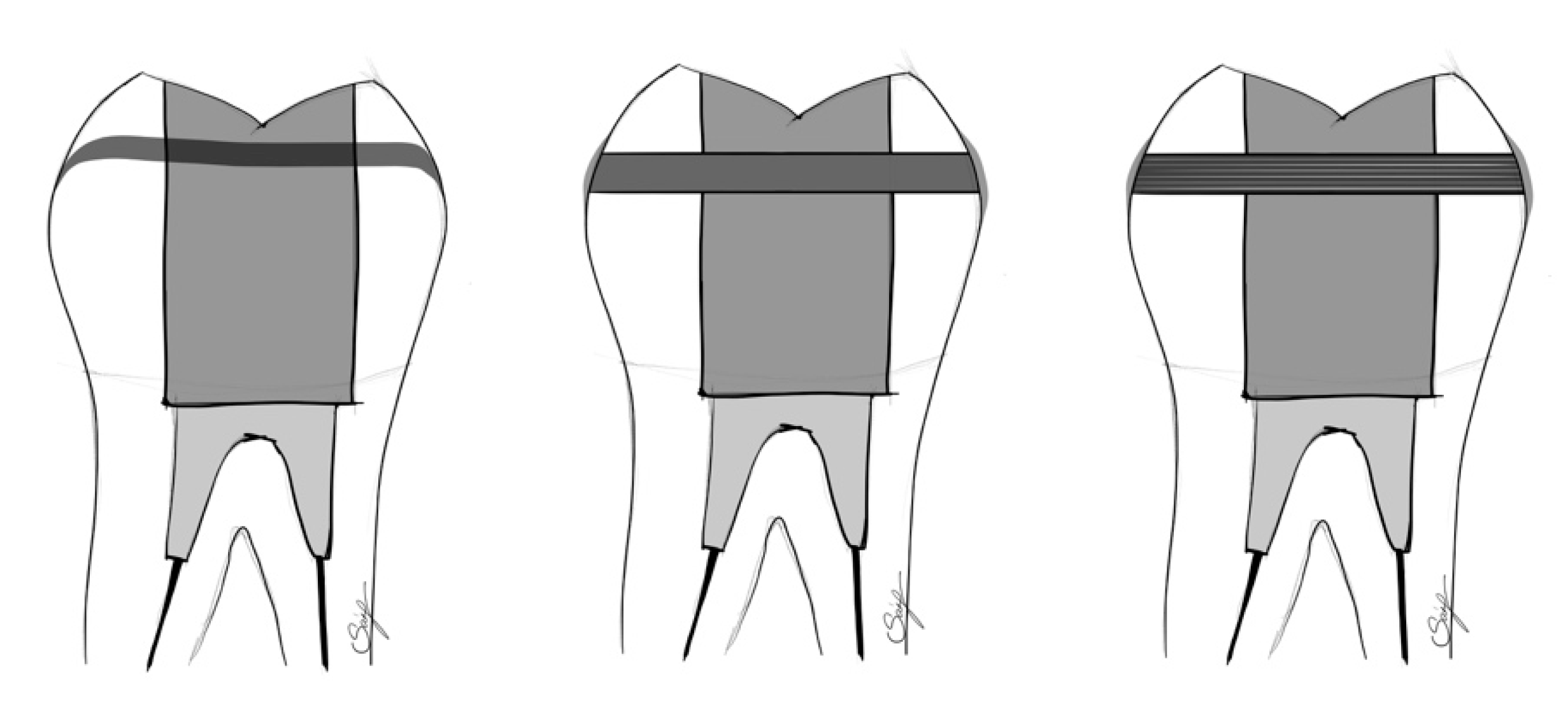 Polymers 14 01438 g001