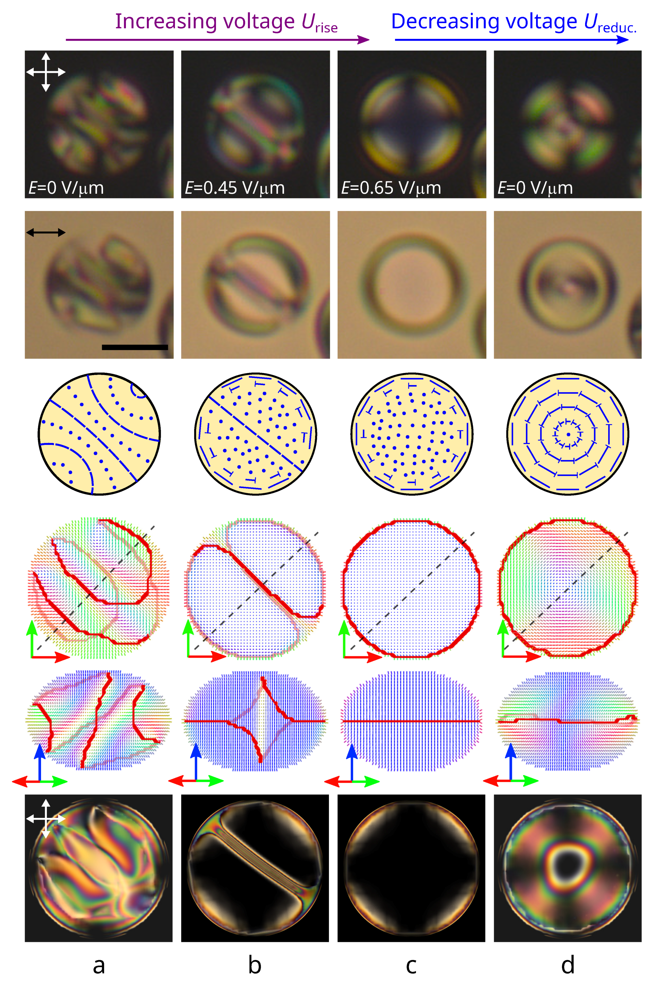 Polymers 14 01454 g001