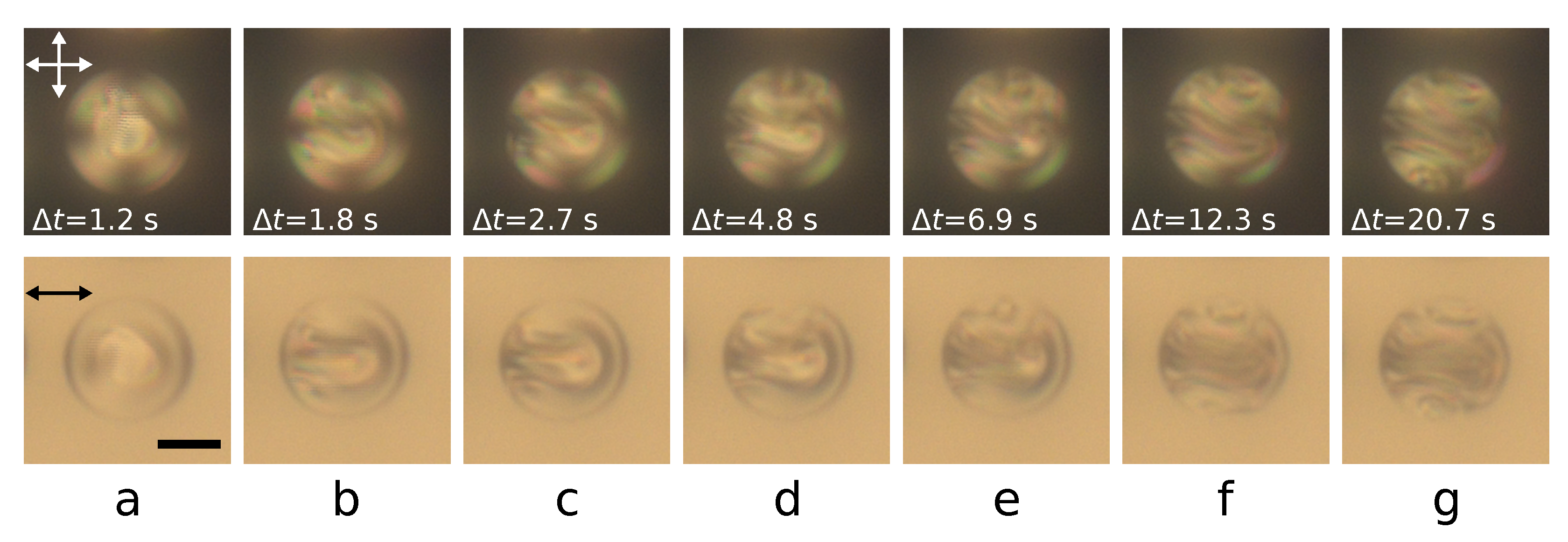 Polymers 14 01454 g005