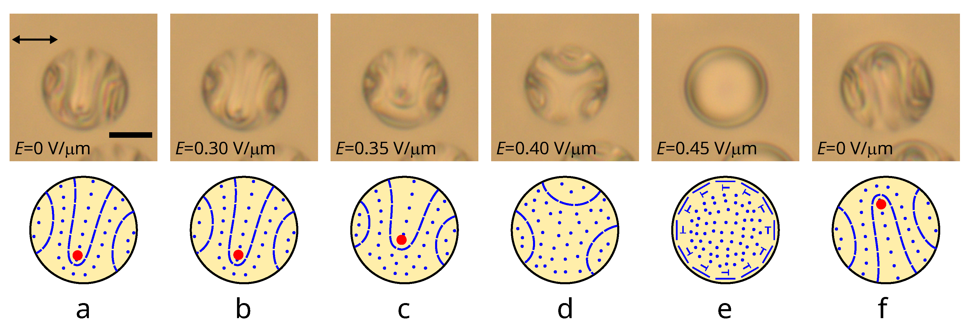 Polymers 14 01454 g006