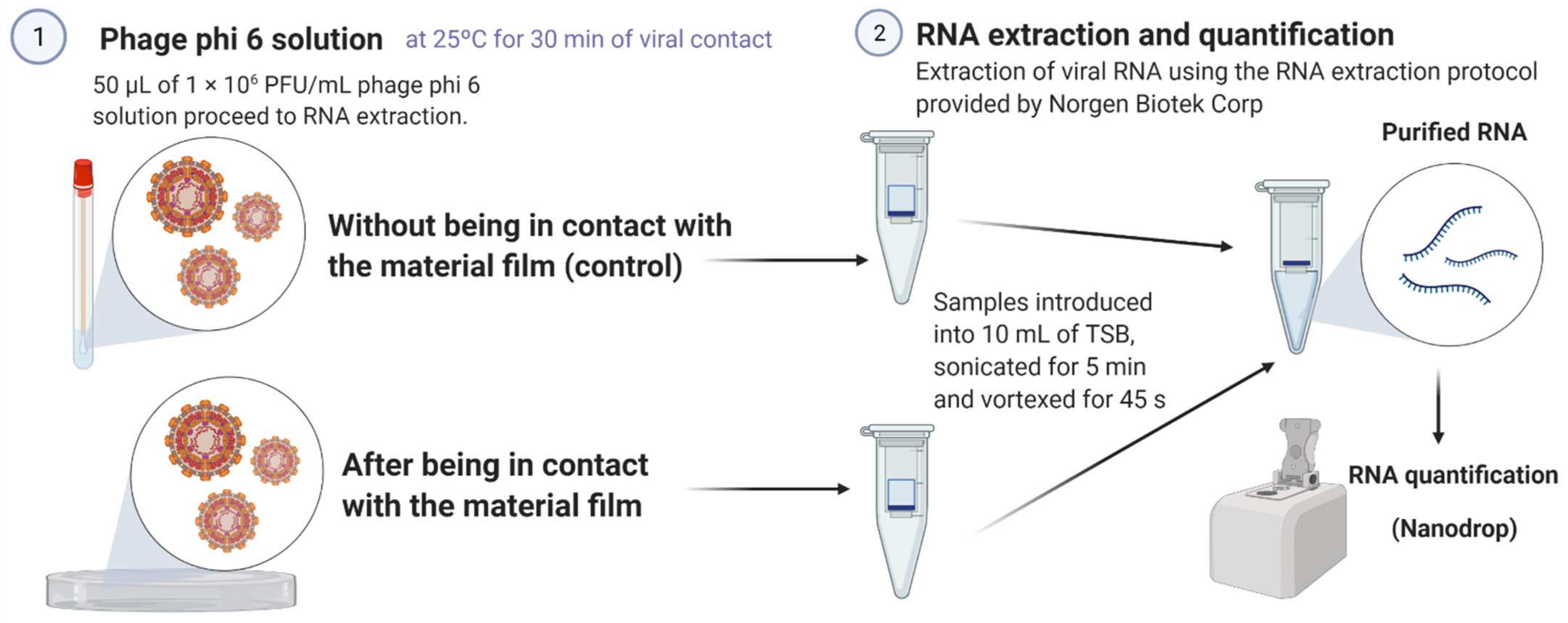 Polymers 14 01483 g001 Polymers 14 01483 g001