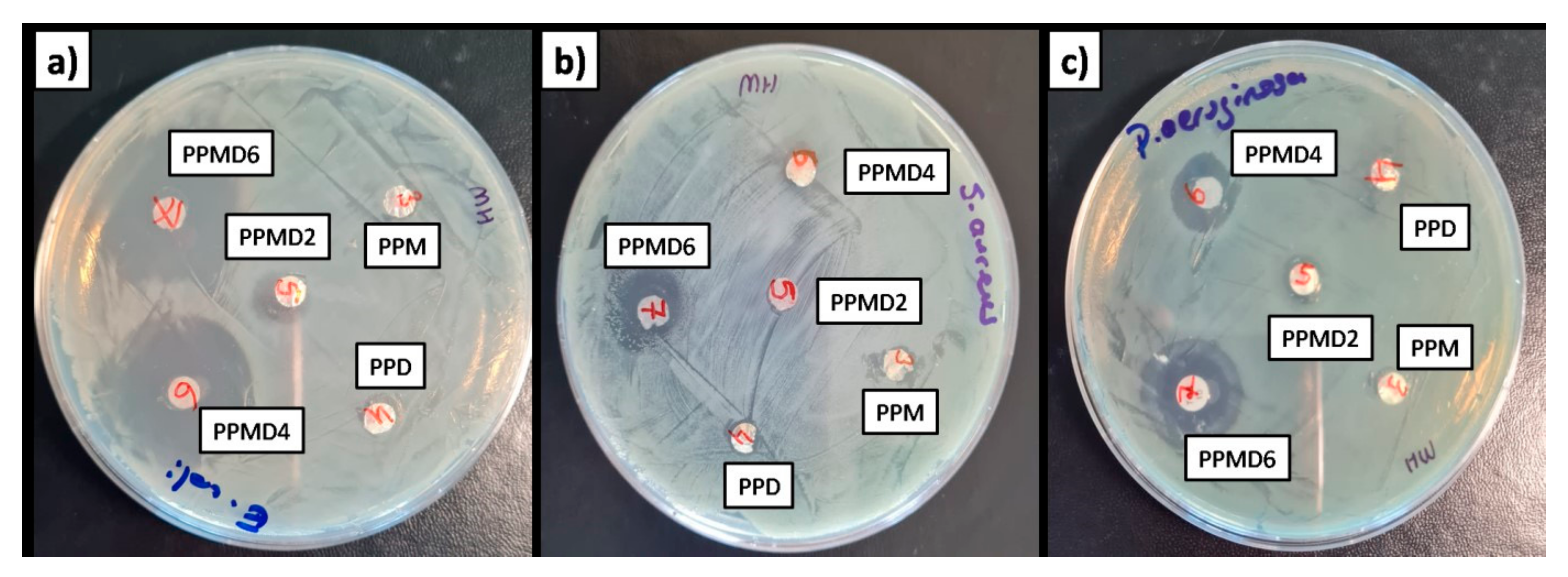 Polymers 14 01490 g010