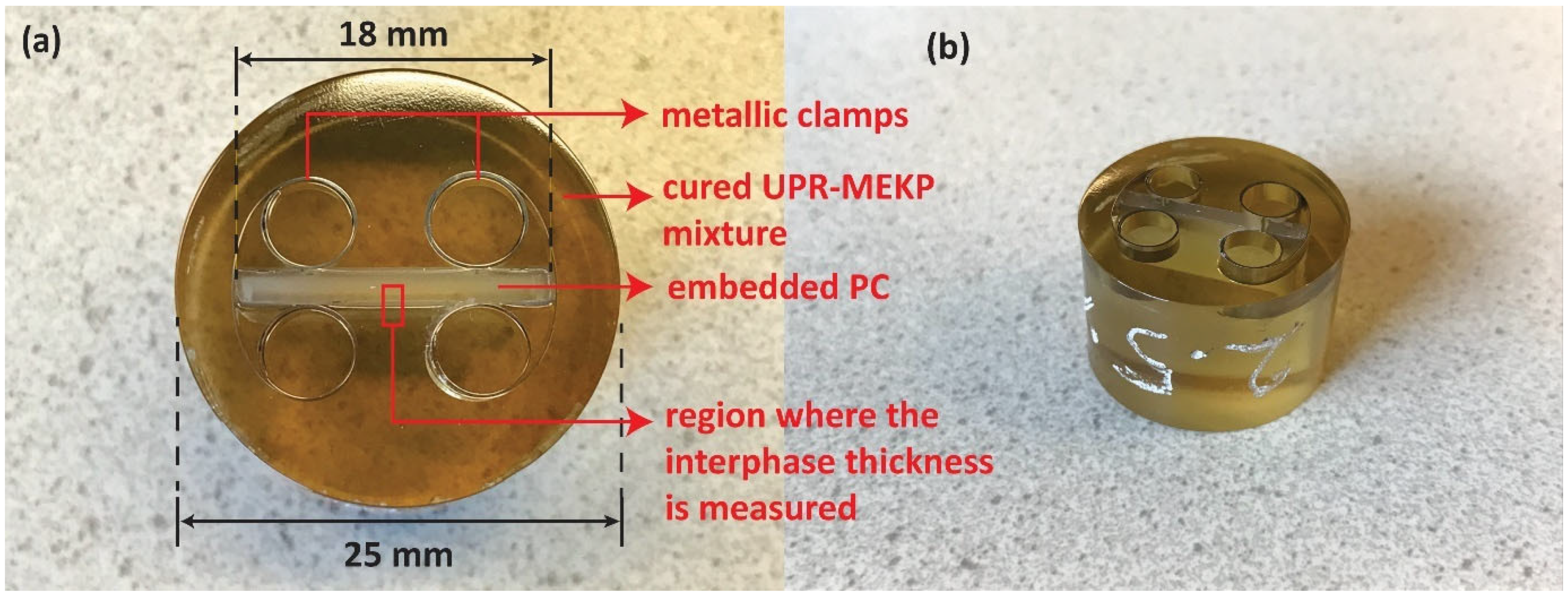Polymers 14 01493 g001