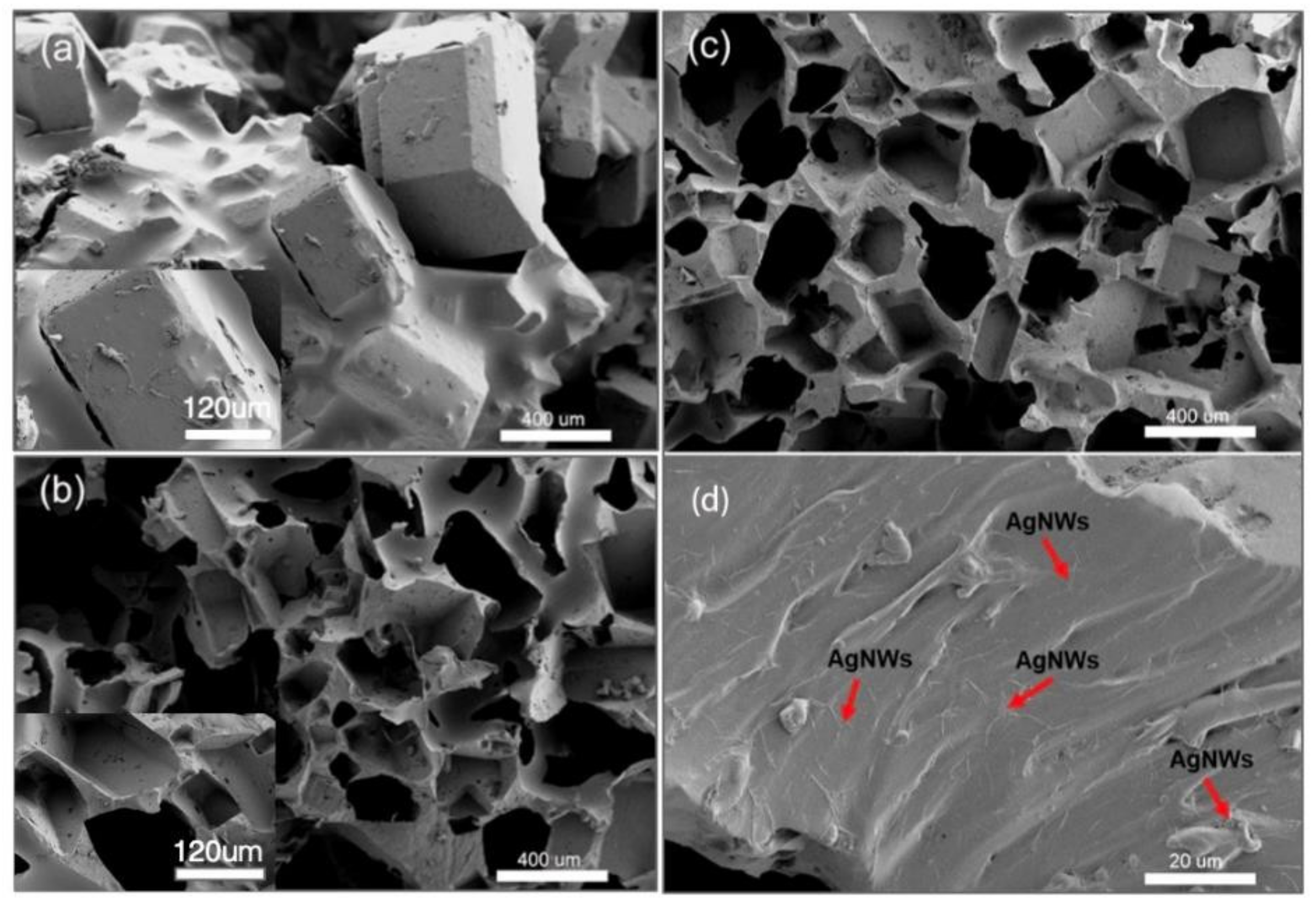 Polymers 14 01495 g004