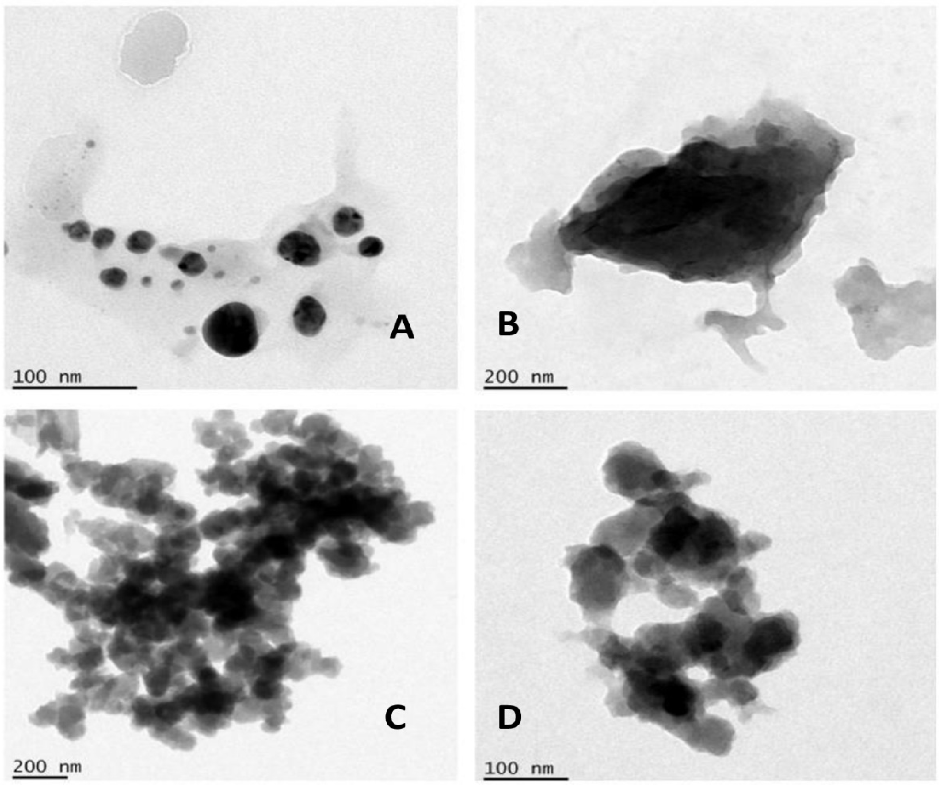 Polymers 14 01499 g002