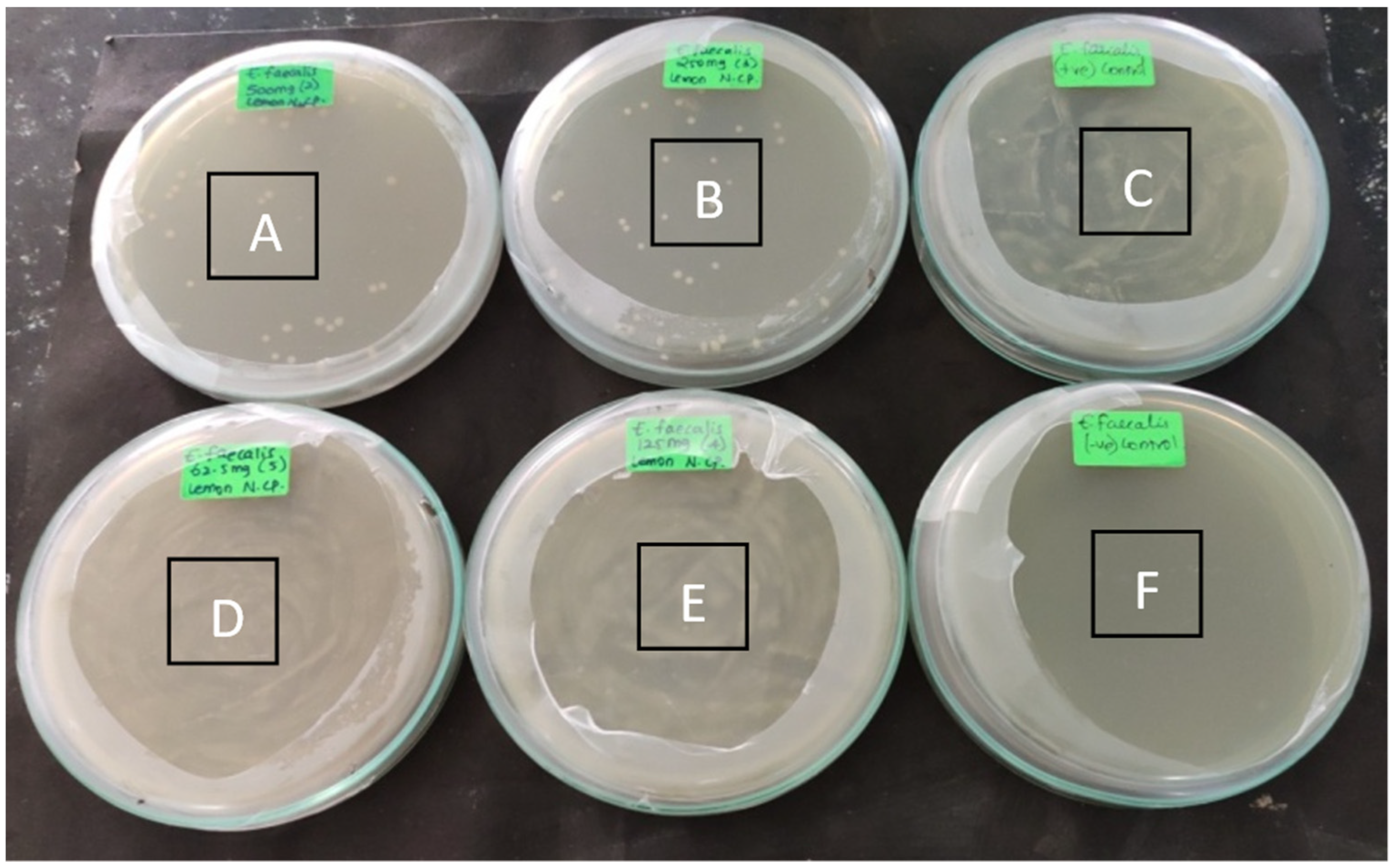 Polymers 14 01499 g004
