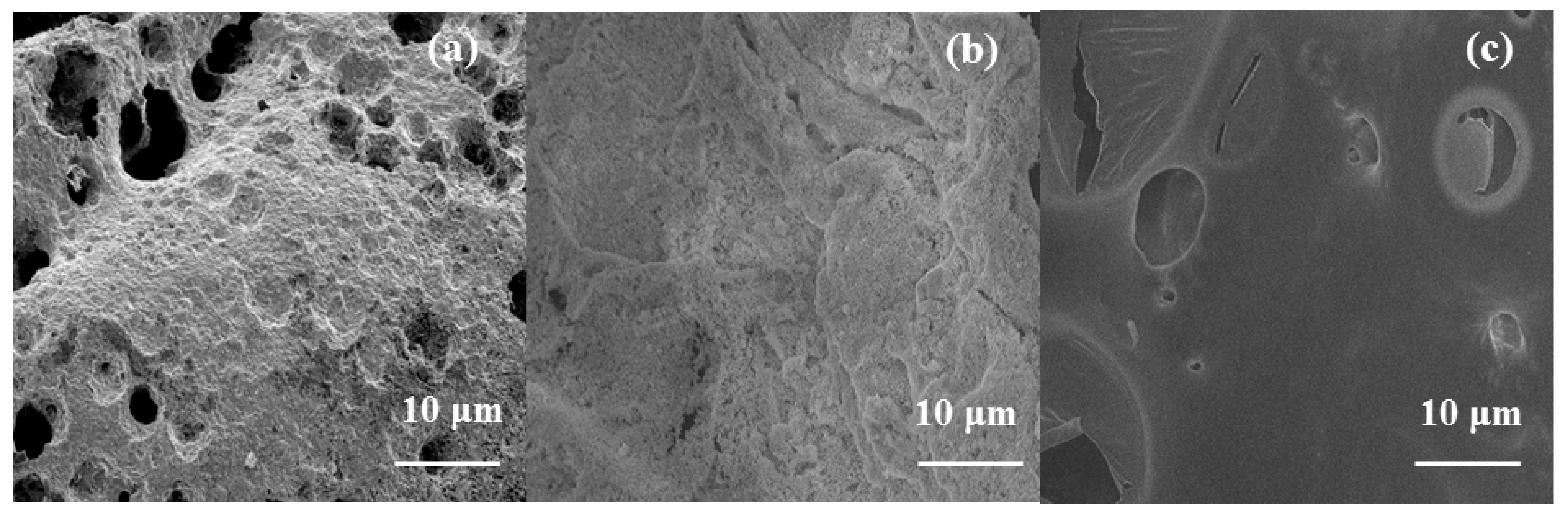 Polymers 14 01506 g011
