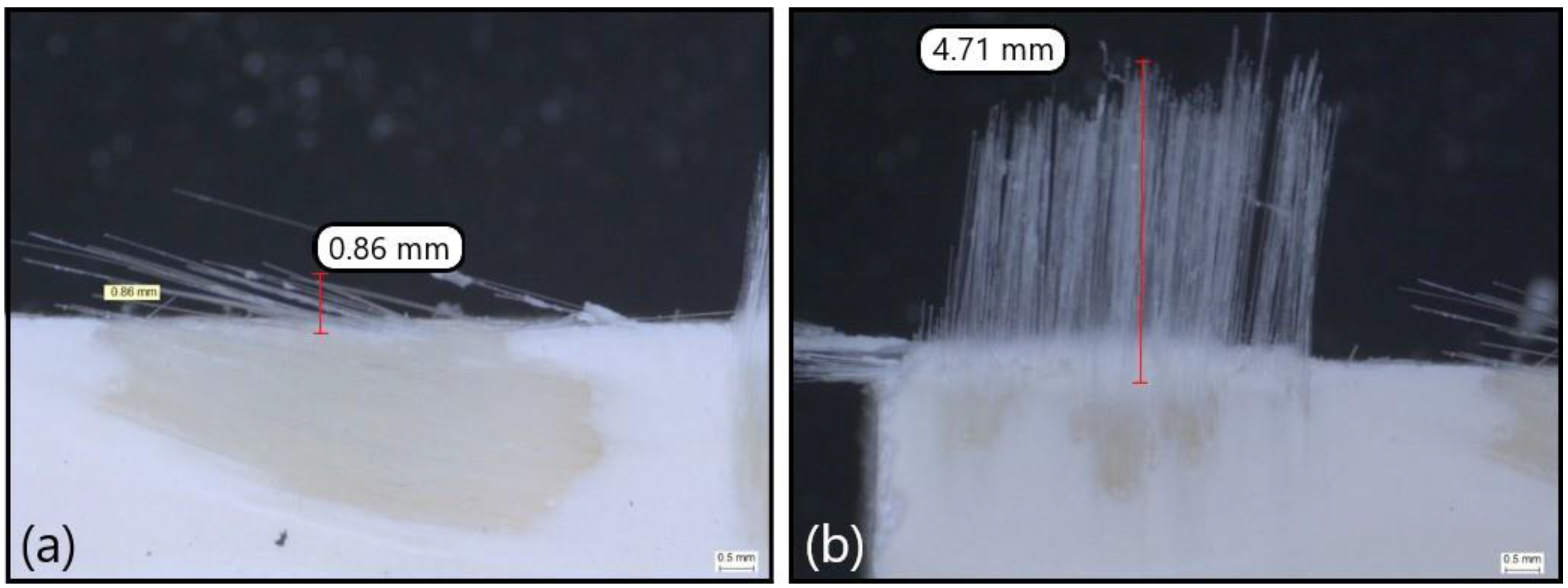 Polymers 14 01524 g008