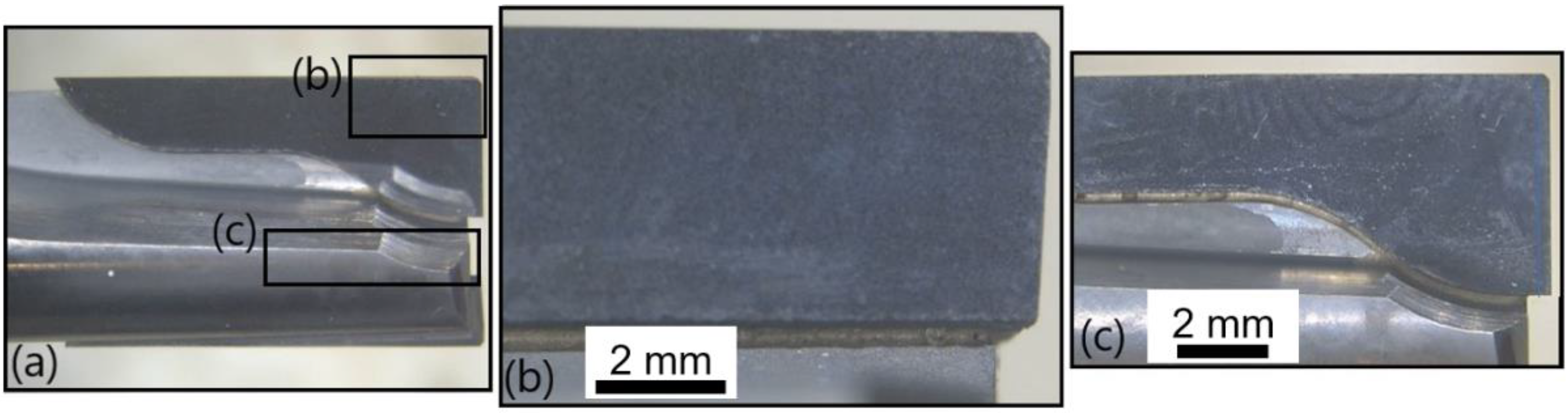 Polymers 14 01524 g021
