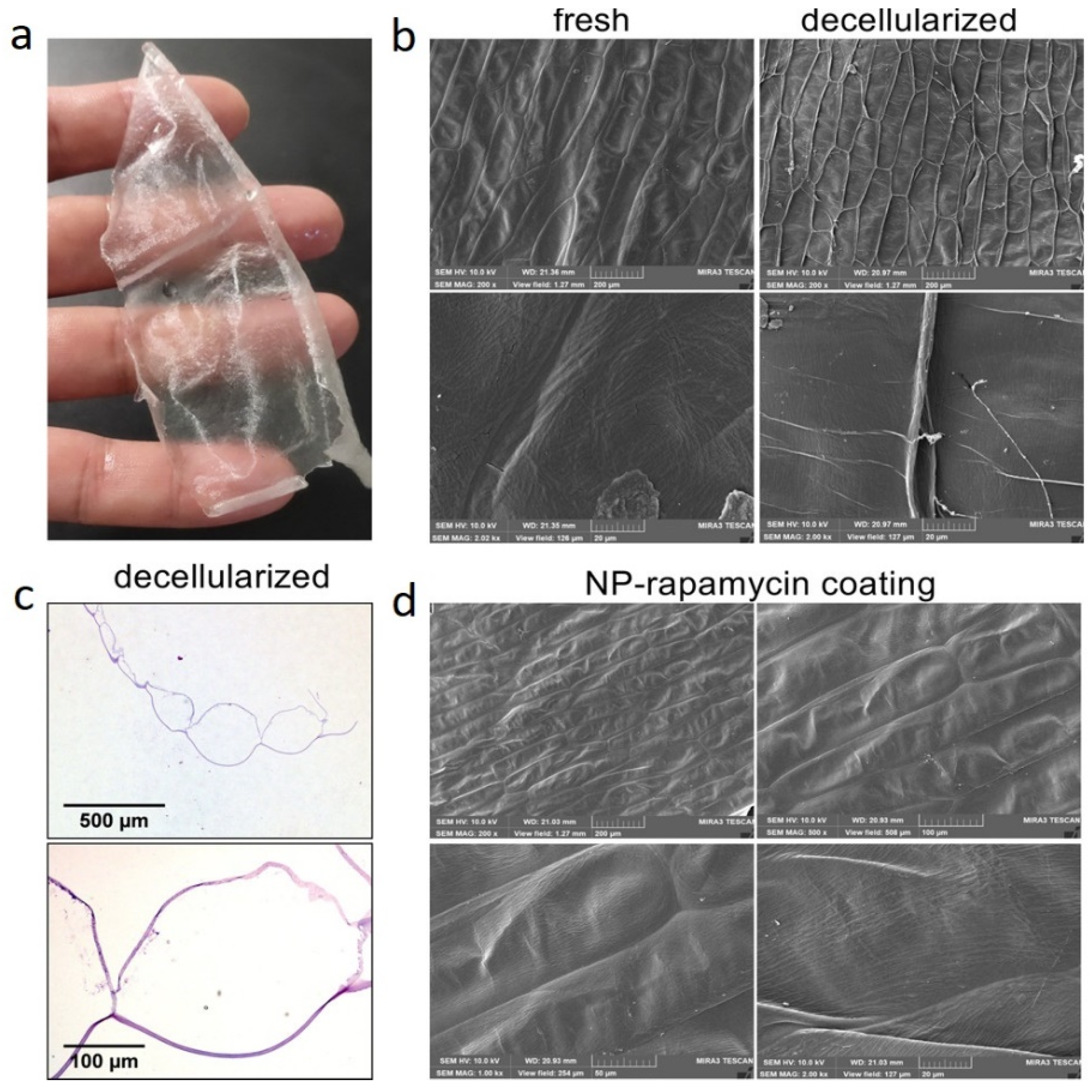 Polymers 14 01531 g008