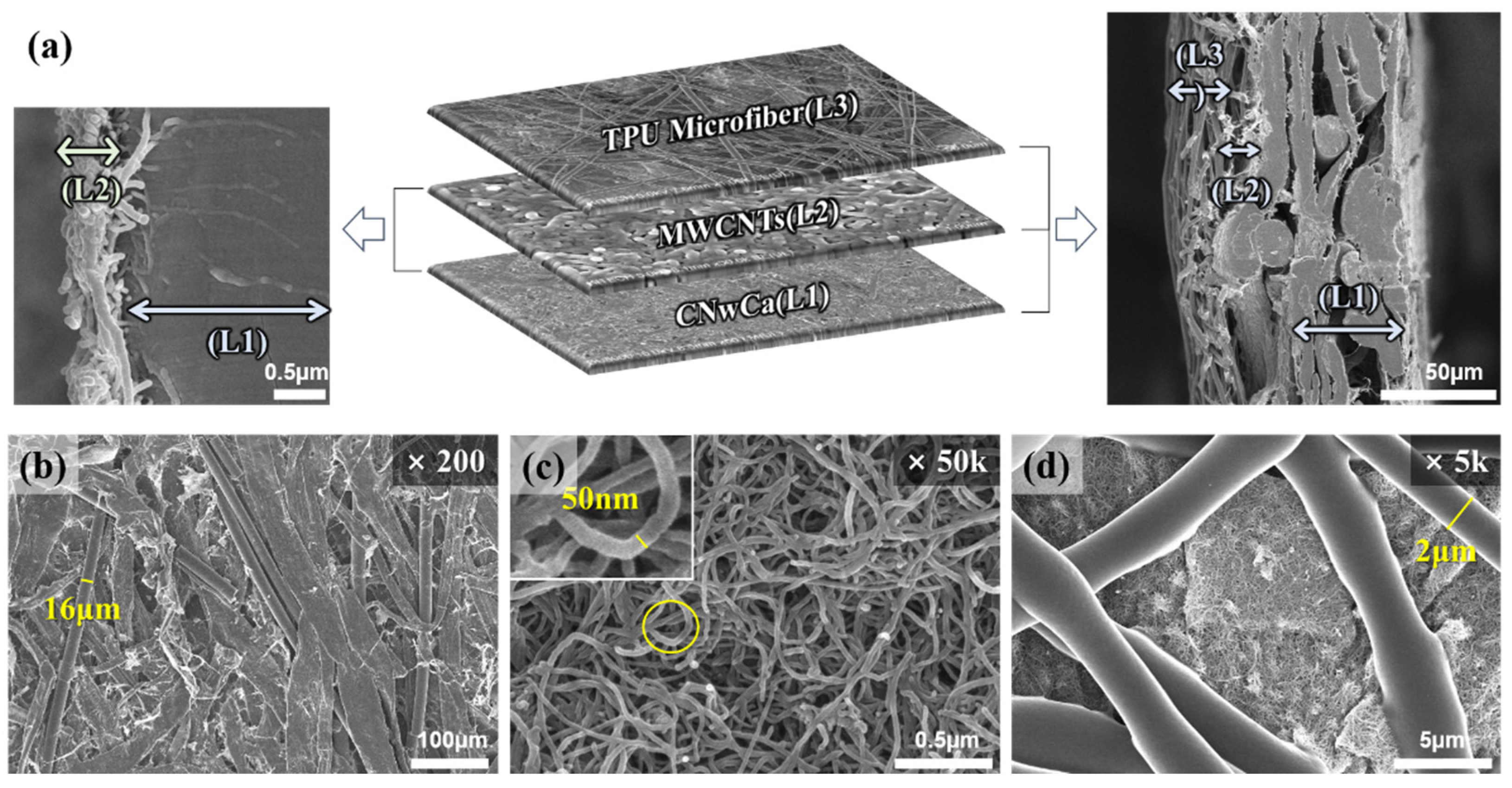 Polymers 14 01545 g003