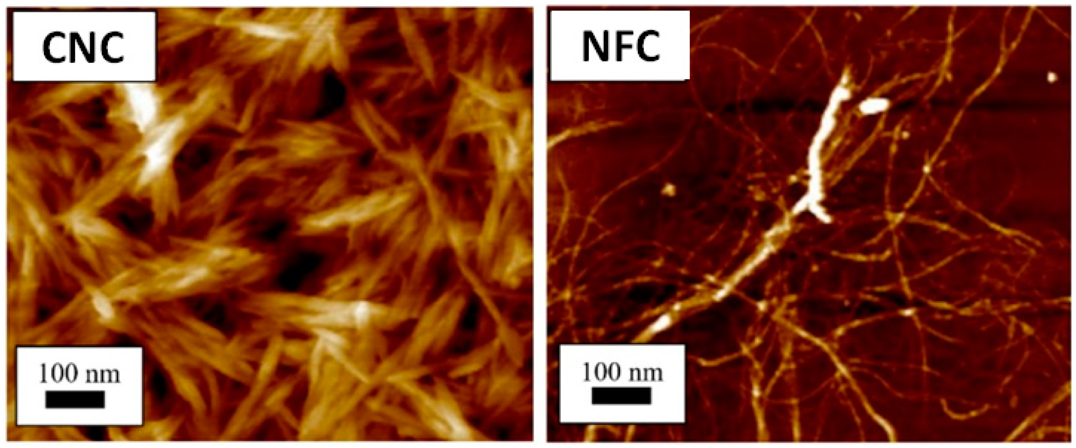 Polymers 14 01546 g002