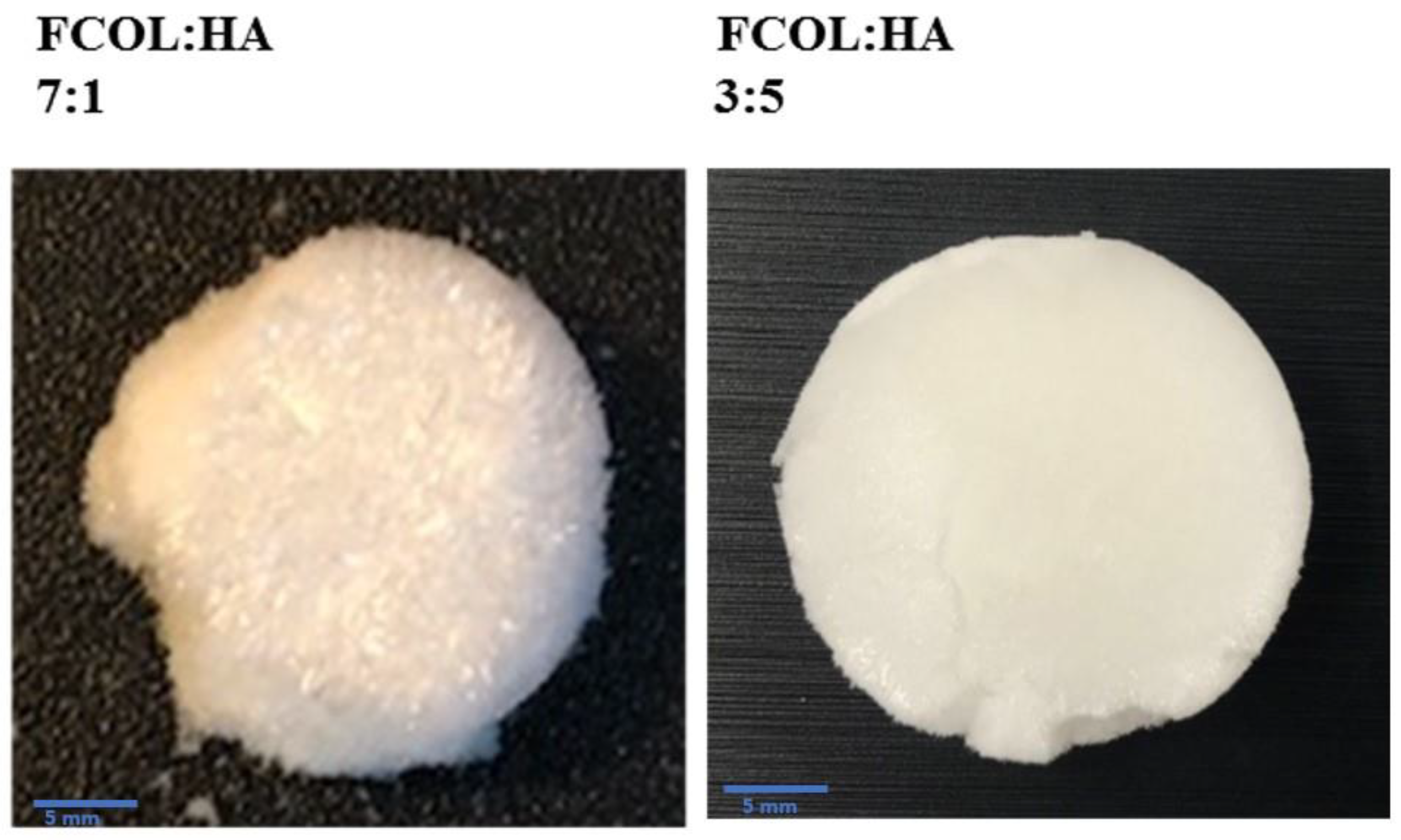Polymers 14 01550 g001