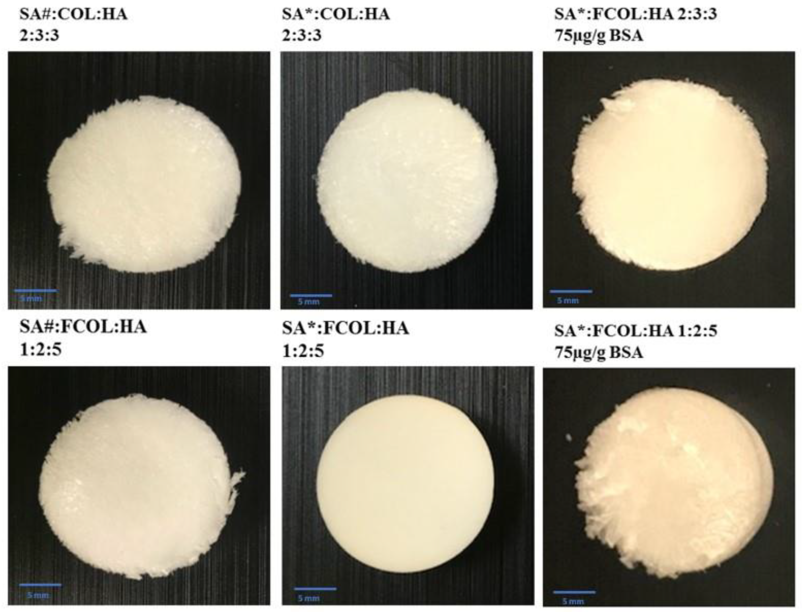 Polymers 14 01550 g002
