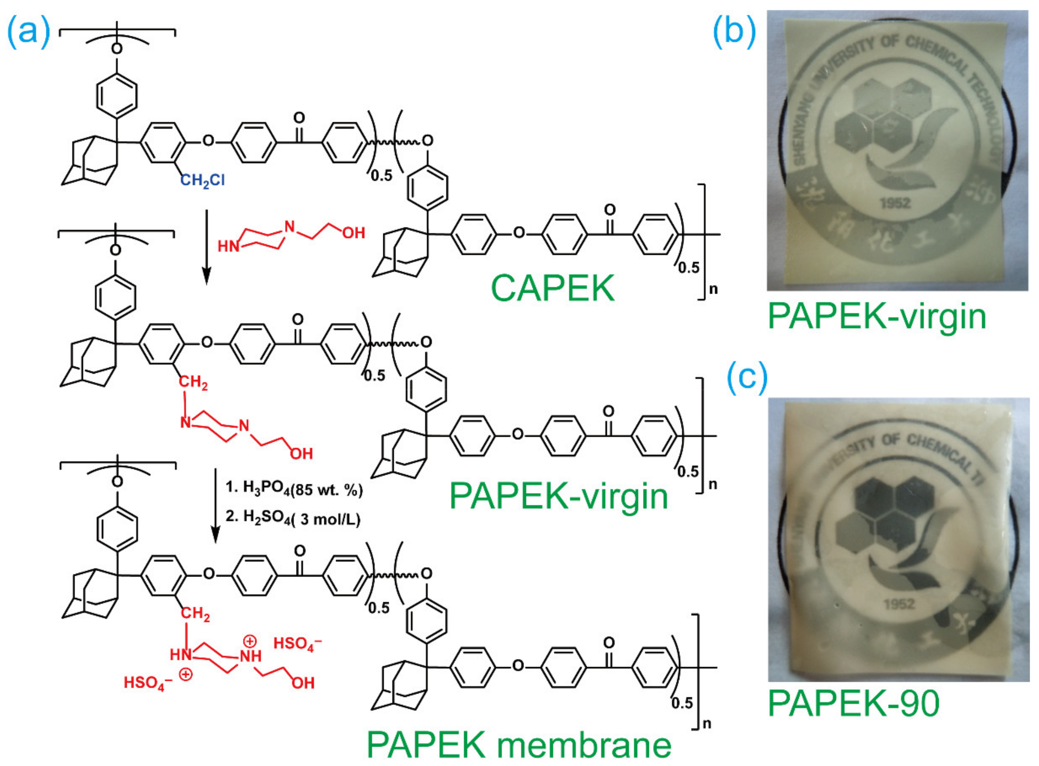 Polymers 14 01552 sch001