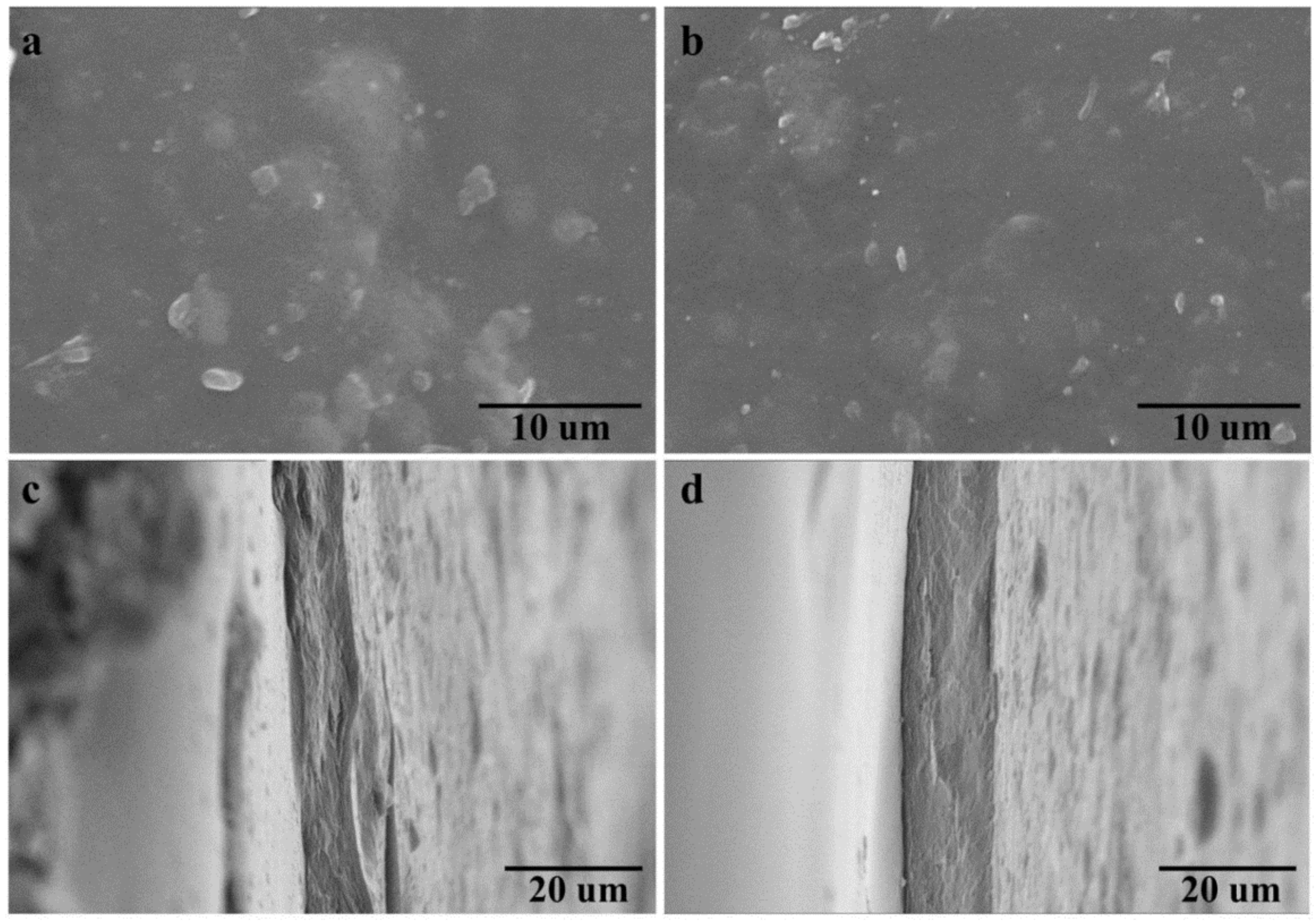 Polymers 14 01589 g006
