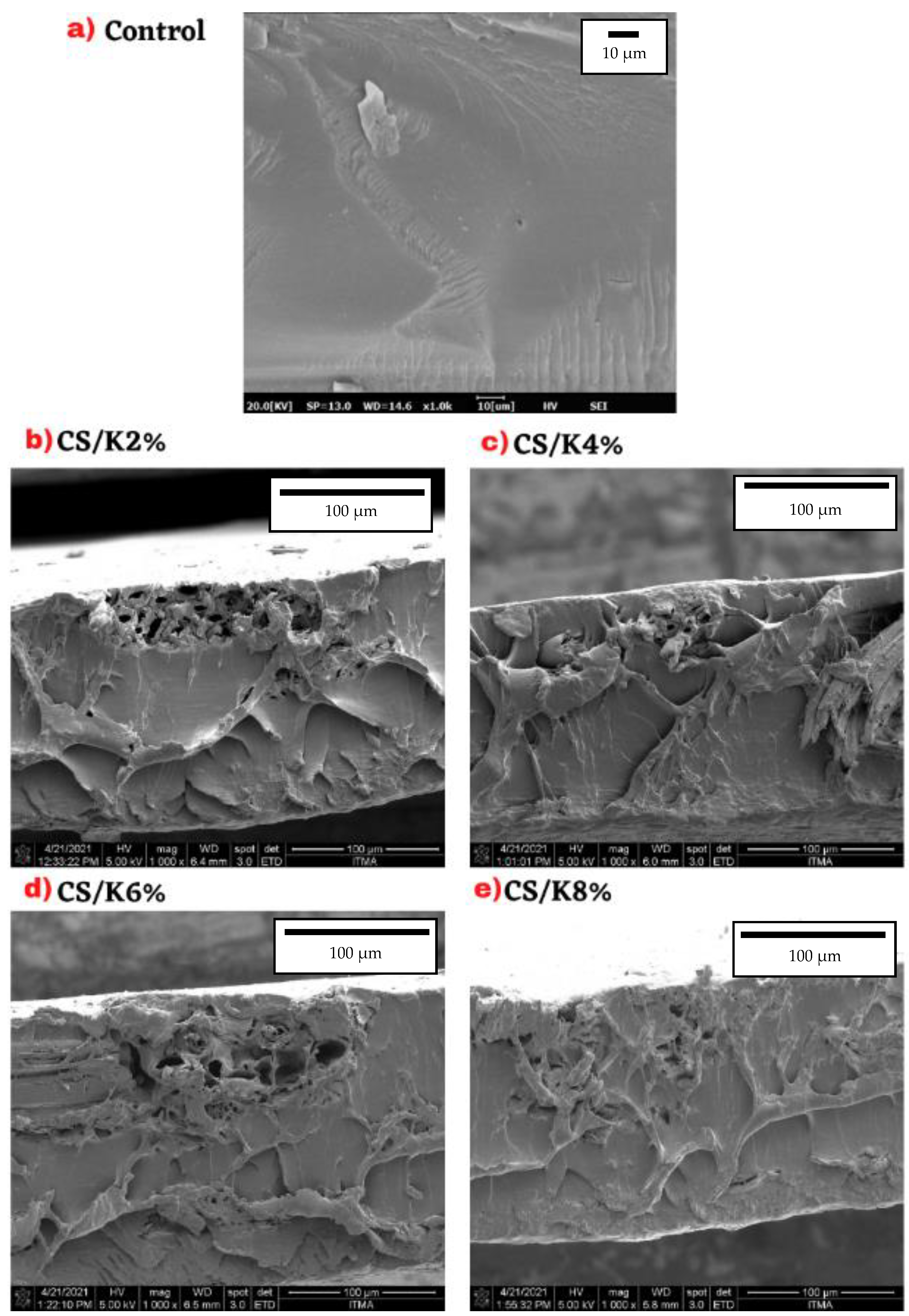 Polymers 14 01590 g007 Polymers 14 01590 g007