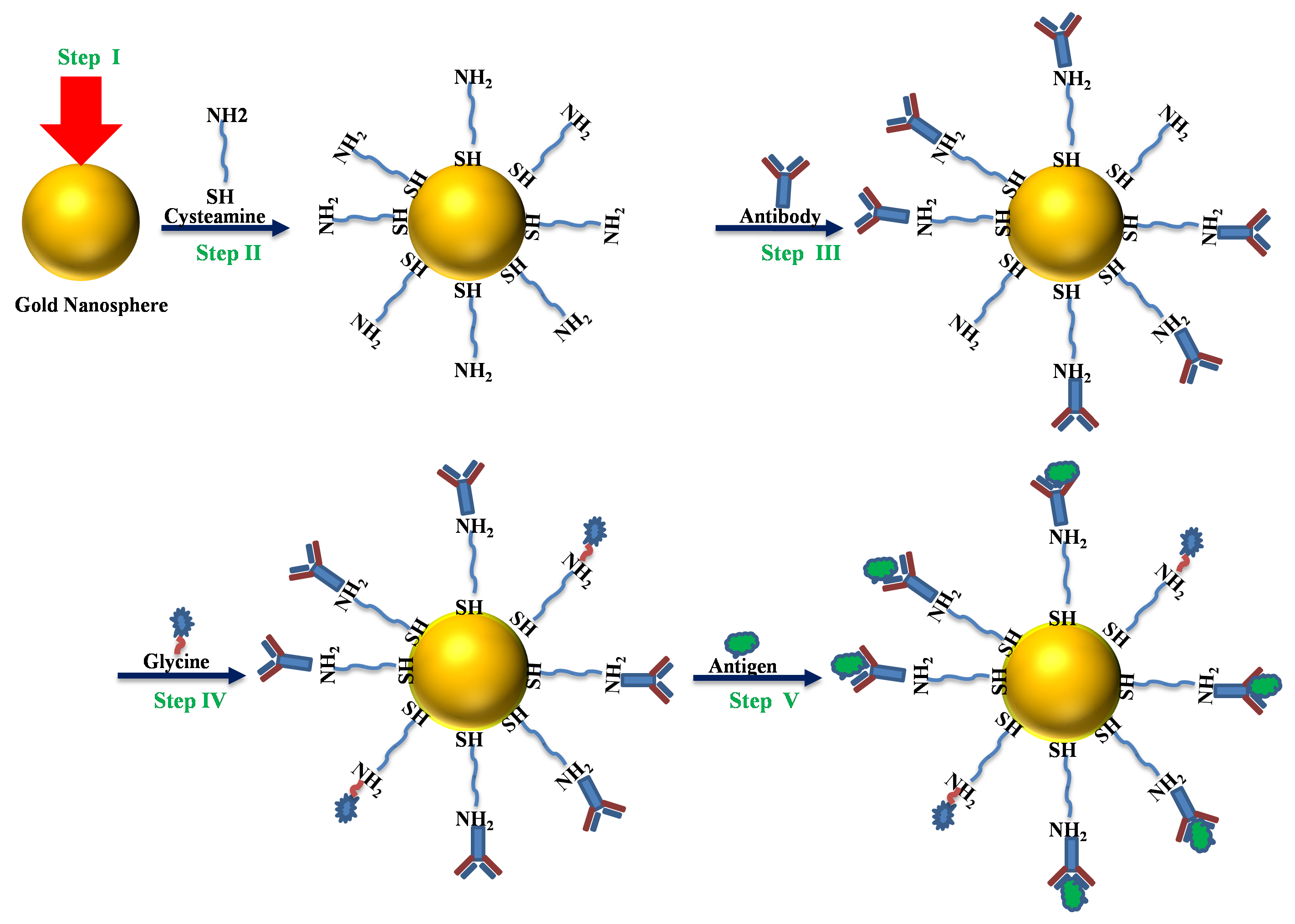 Polymers 14 01592 g002