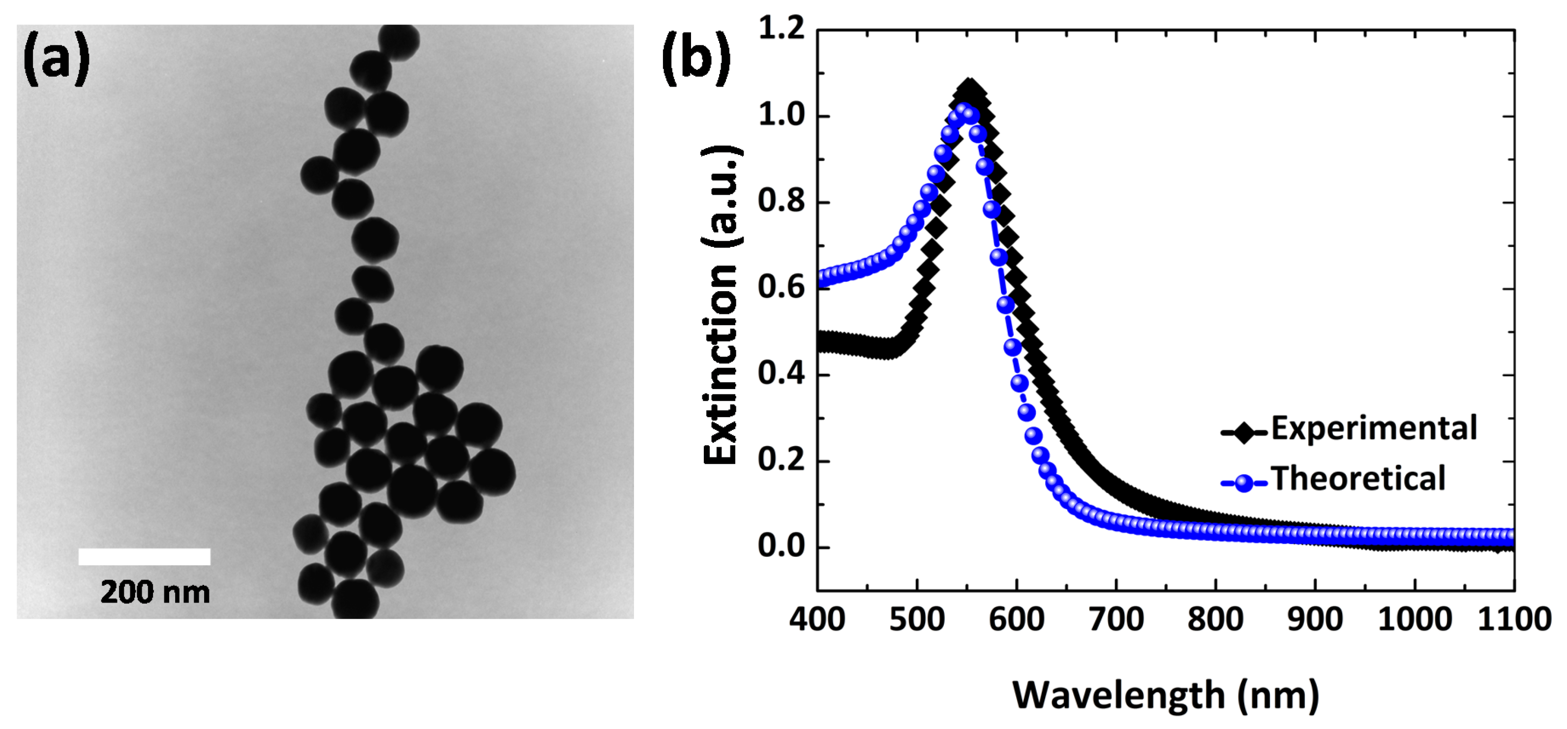 Polymers 14 01592 g003