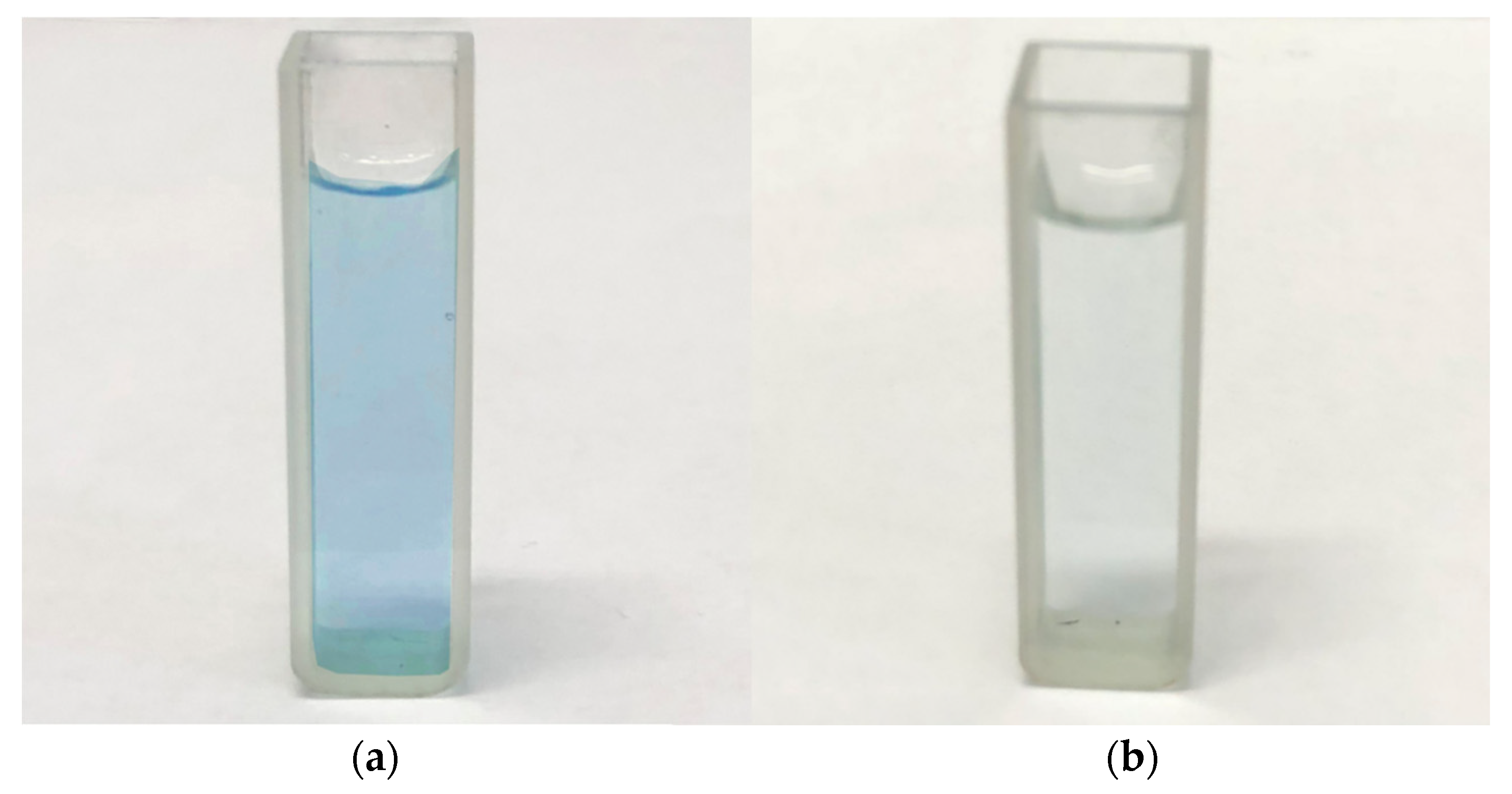 Polymers 14 01593 g011
