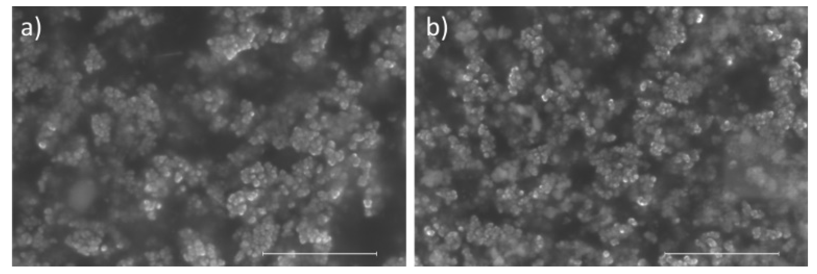 Polymers 14 01595 g001