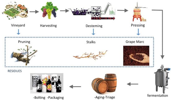 Polymers | Free Full-Text | Current Options in the Valorisation of Vine ...