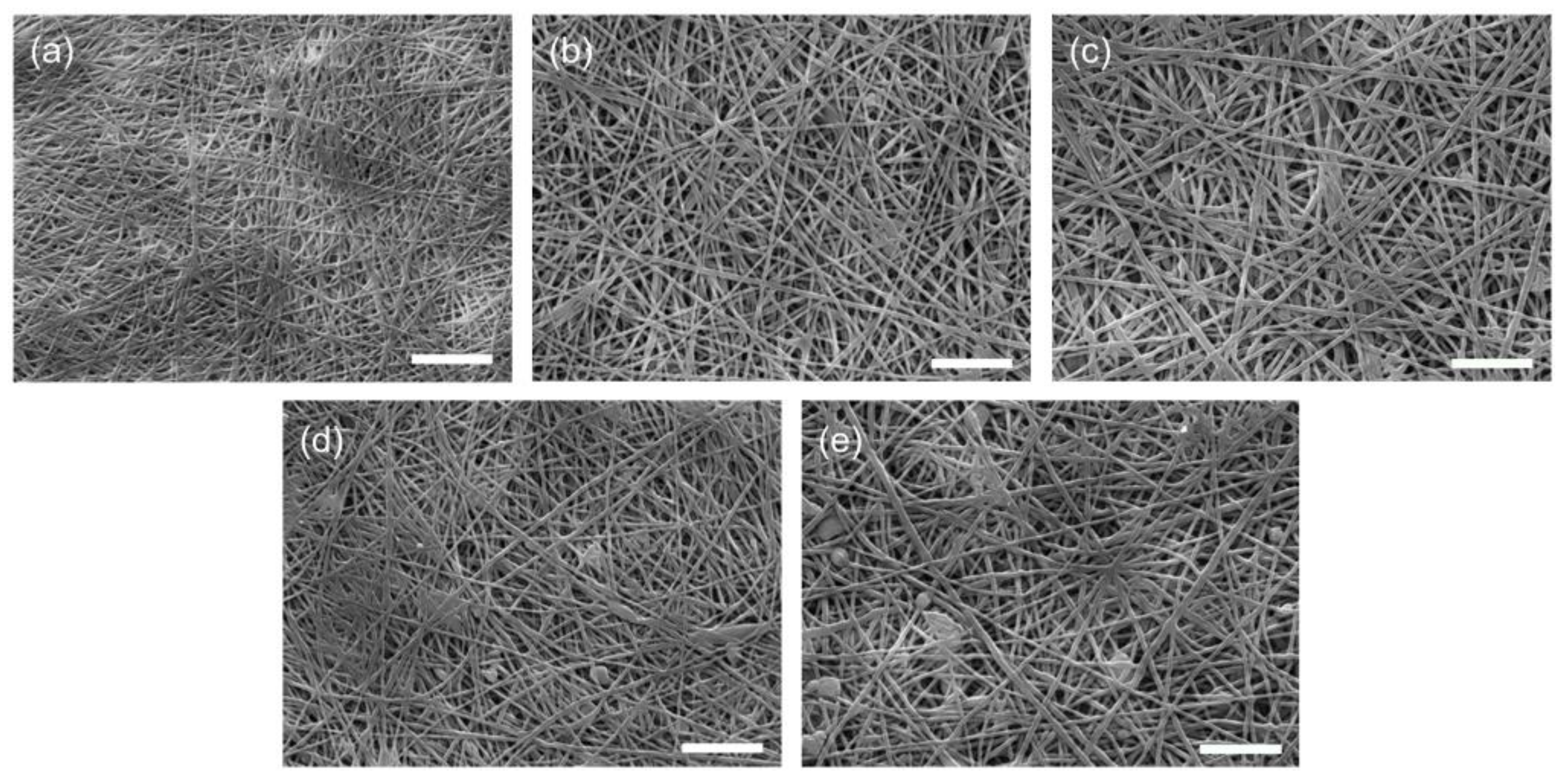 Polymers 14 01649 g001