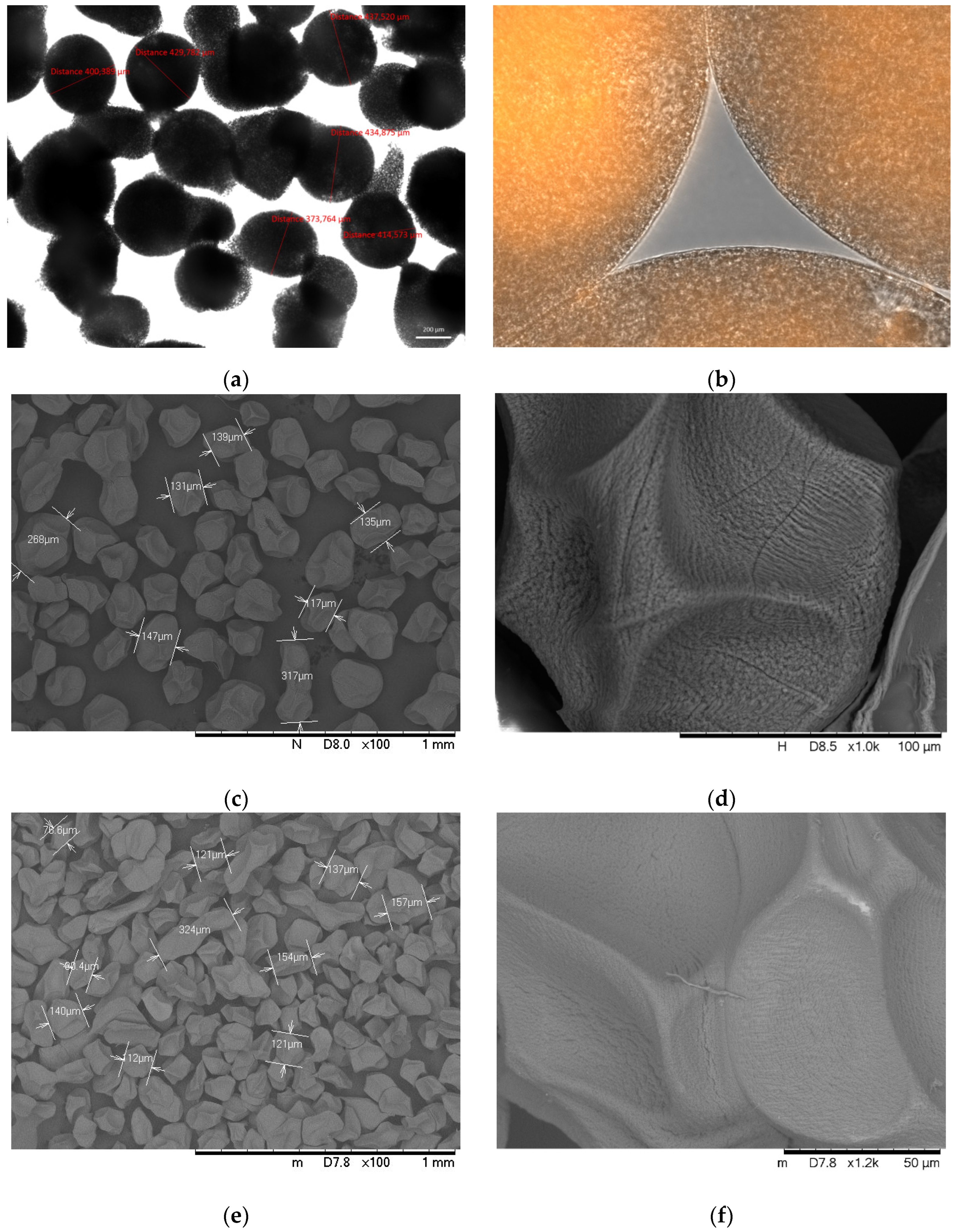 Polymers 14 01664 g003a