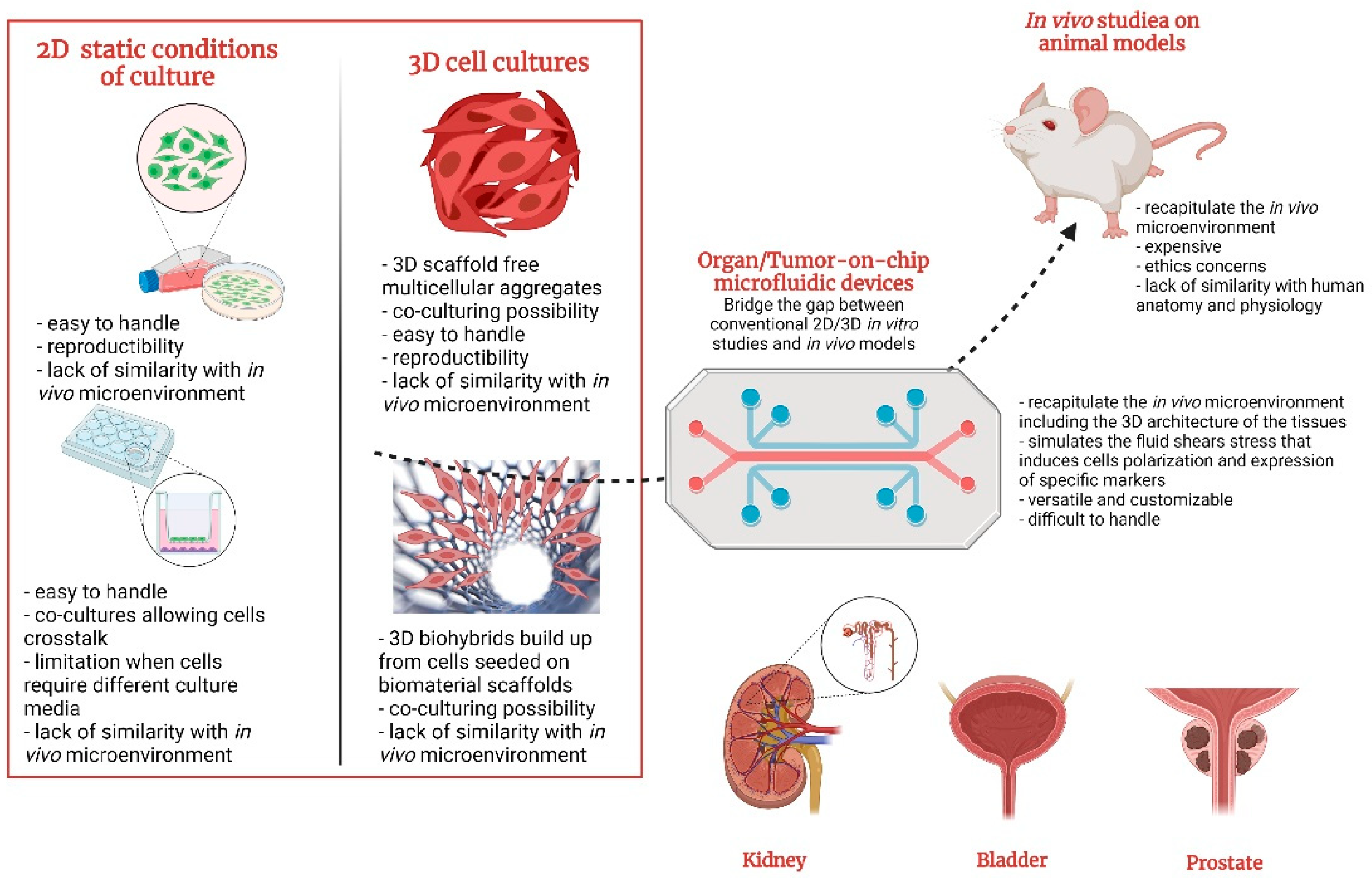 Polymers 14 01668 g004 Polymers 14 01668 g004