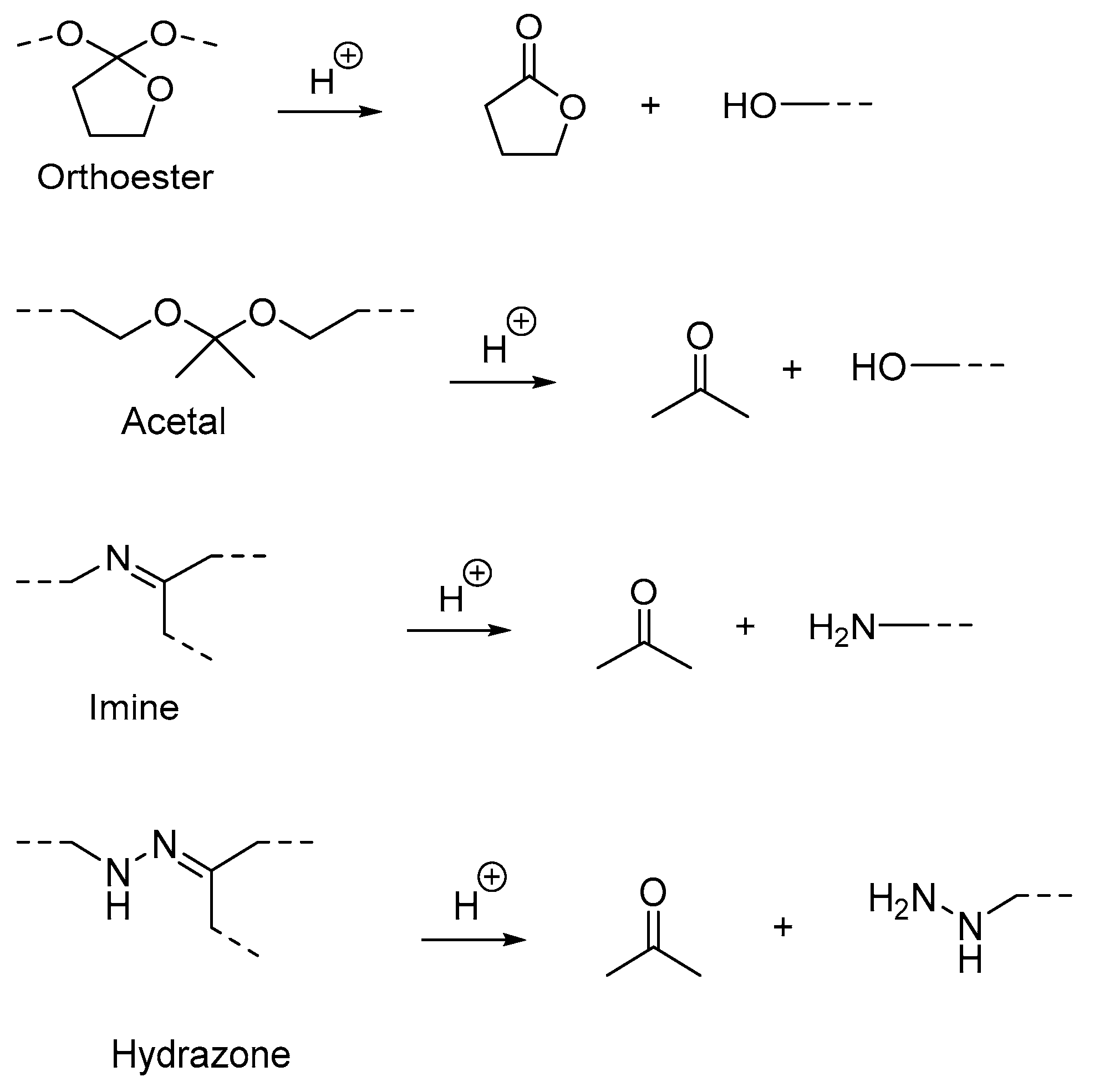 Polymers 14 01672 g005