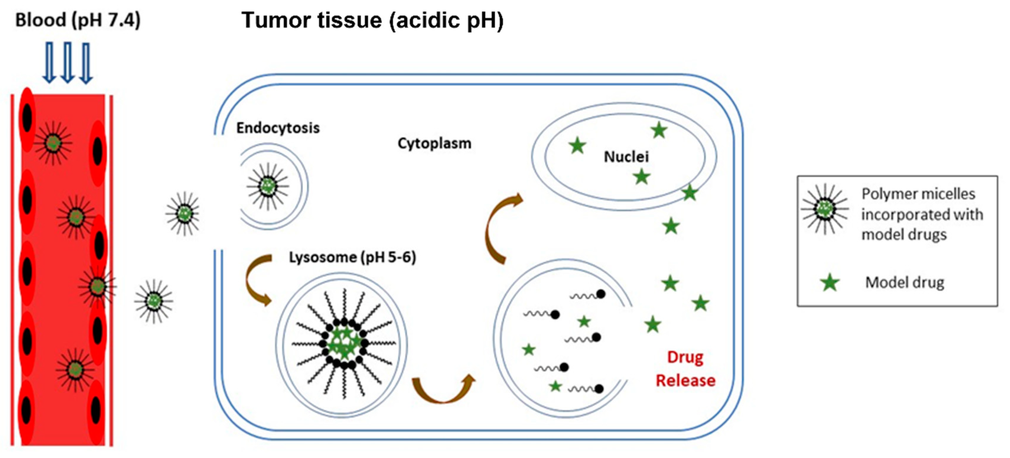 Polymers 14 01672 g013