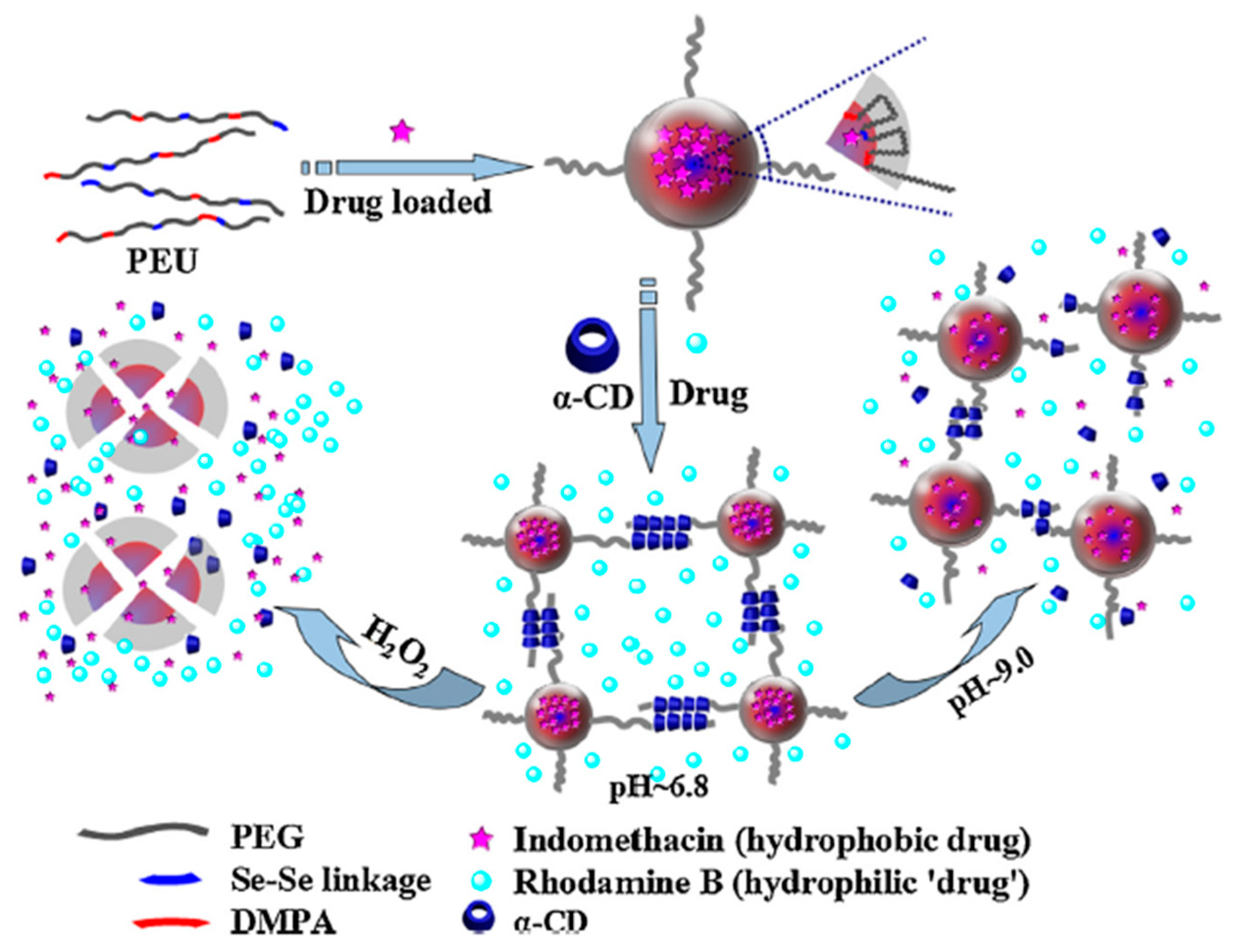 Polymers 14 01672 g015