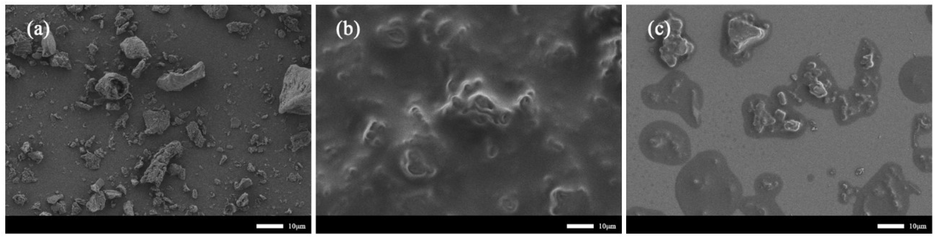 Polymers 14 01683 g006