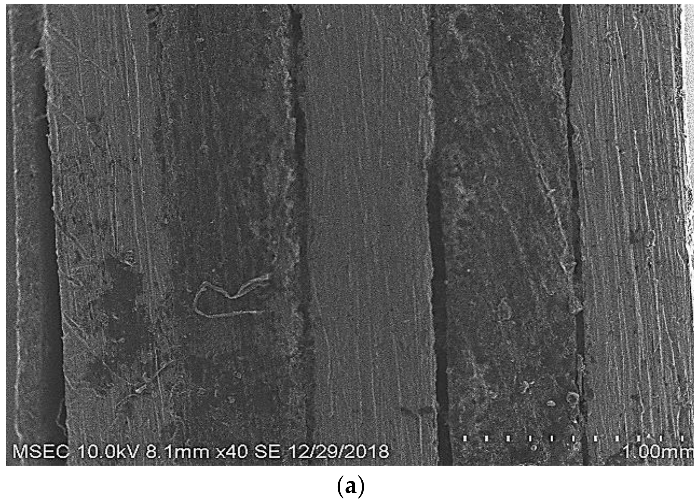 Polymers 14 01700 g008a