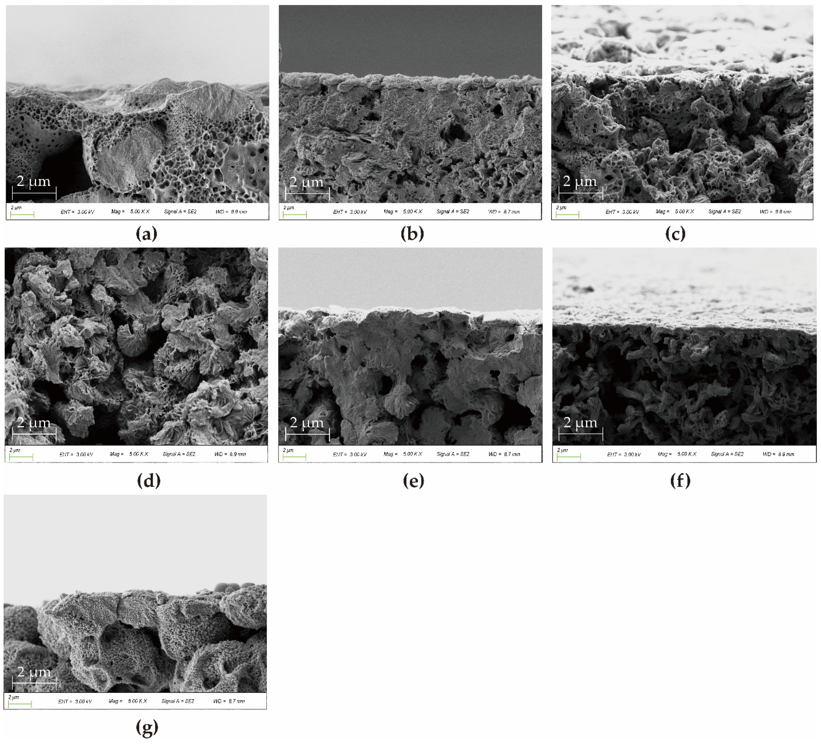 Polymers 14 01706 g006