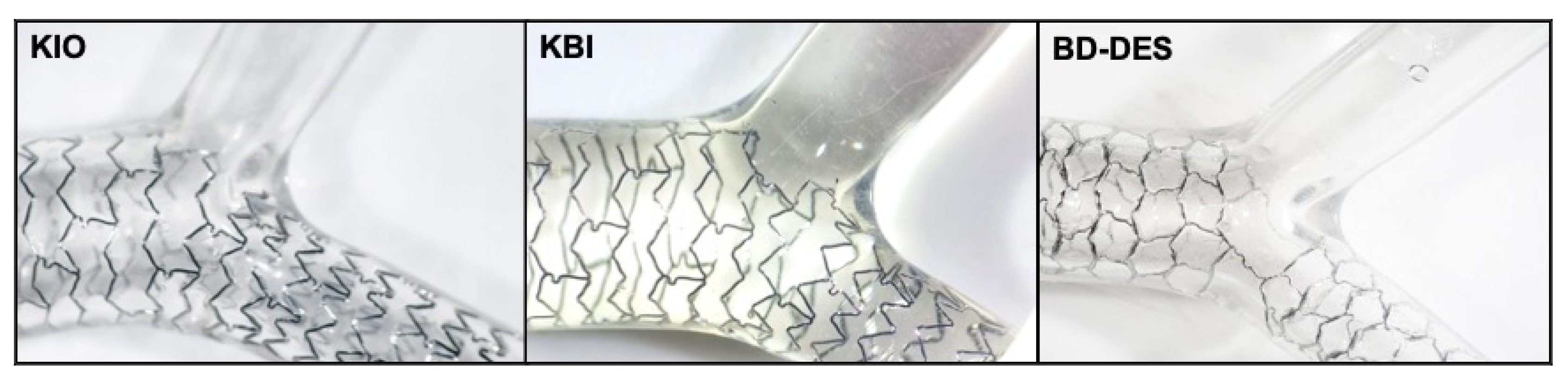 Polymers 14 01715 g001