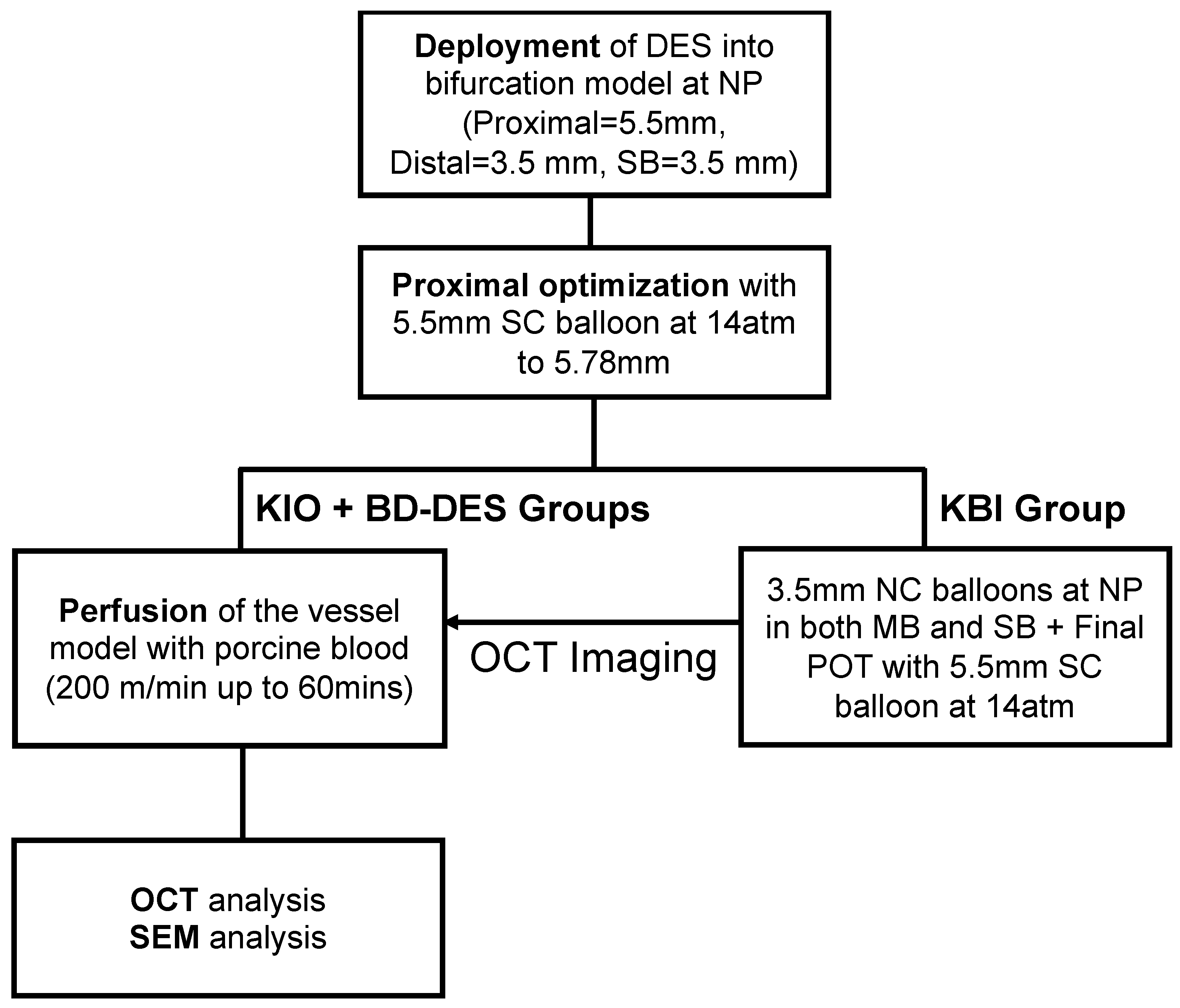 Polymers 14 01715 g002