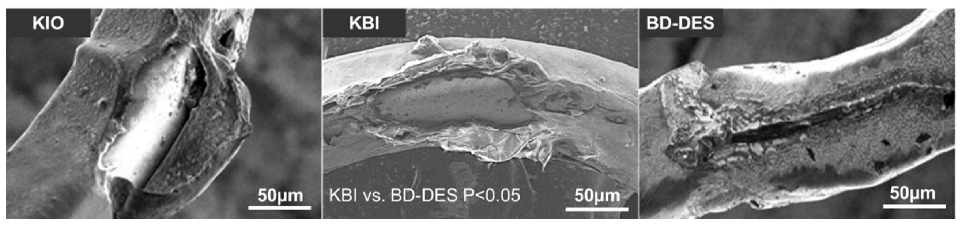 Polymers 14 01715 g005